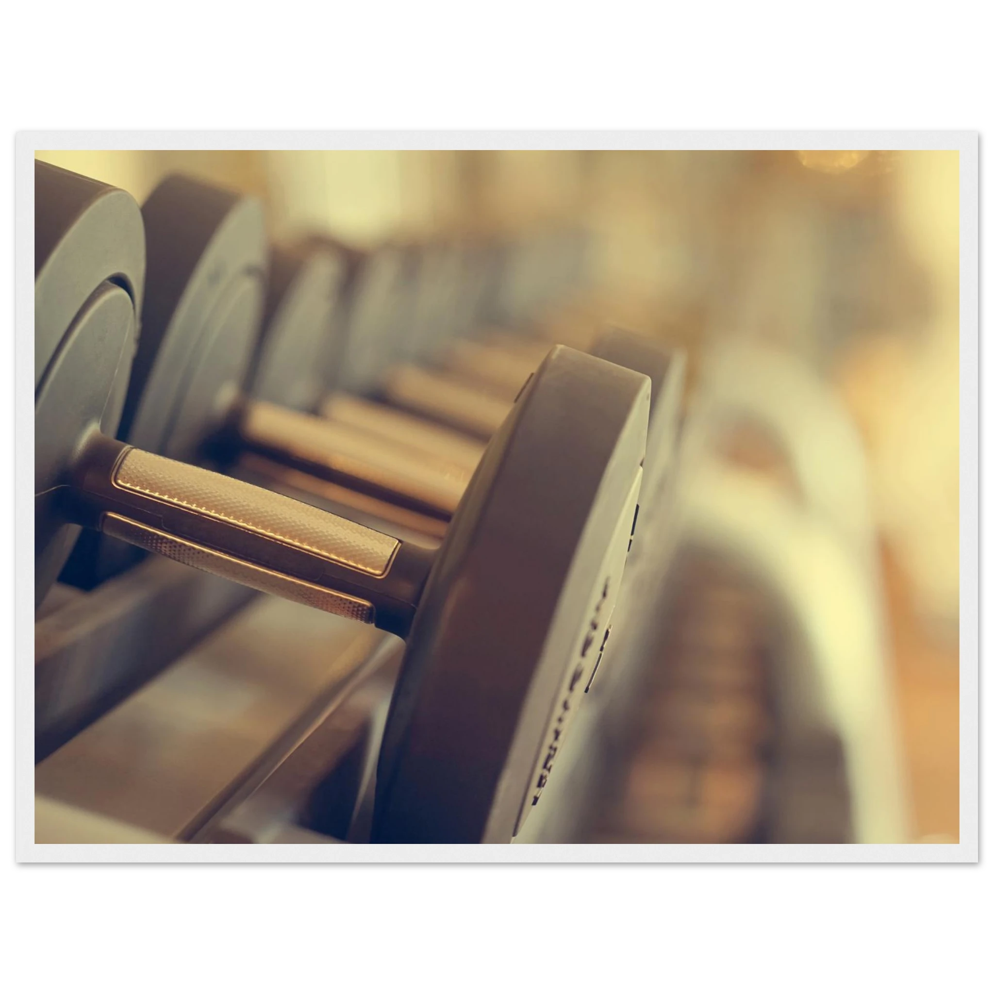 1596b7ca-d2c7-458d-8e61-28525abfaa77