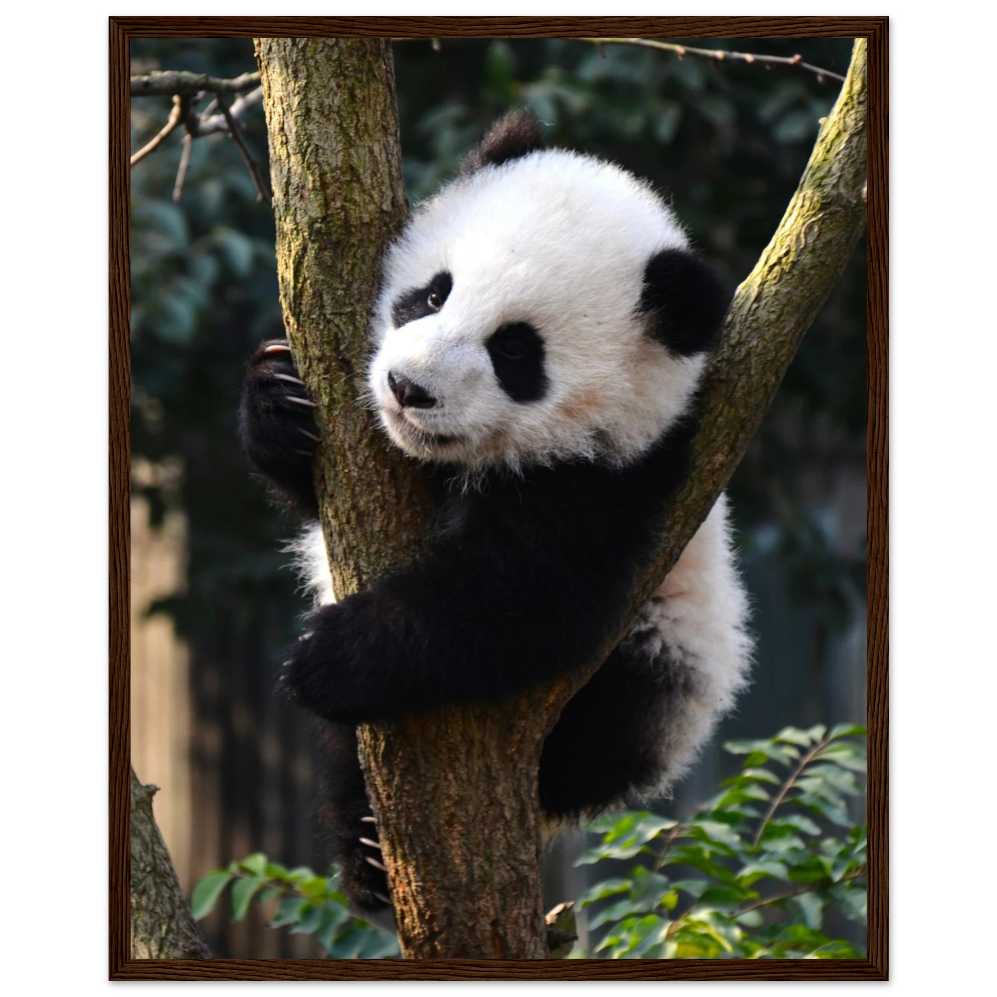 15c41698-3662-41f9-b310-e43340dbceed