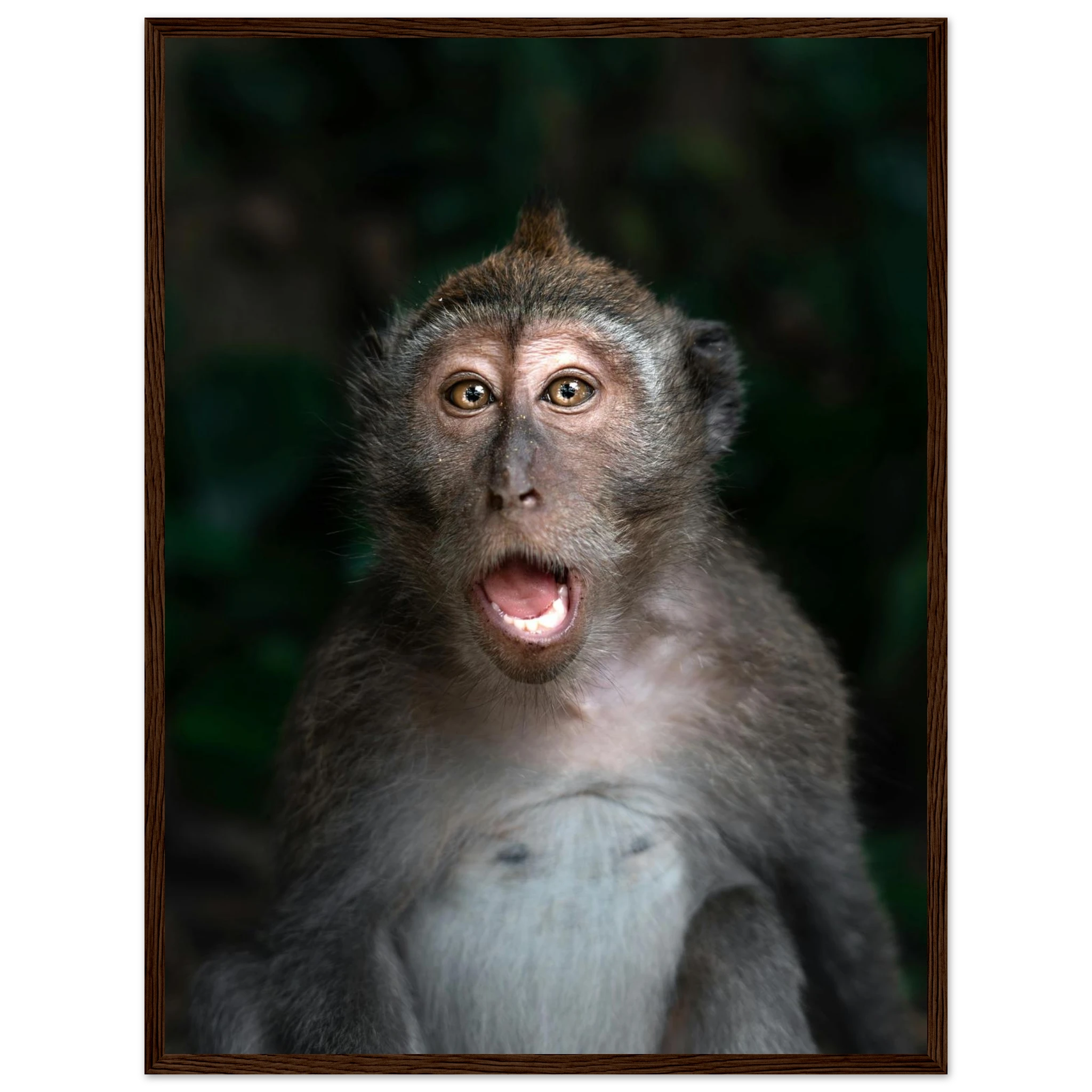 15ff6c46-8398-4662-8b2f-9efa2431cd69