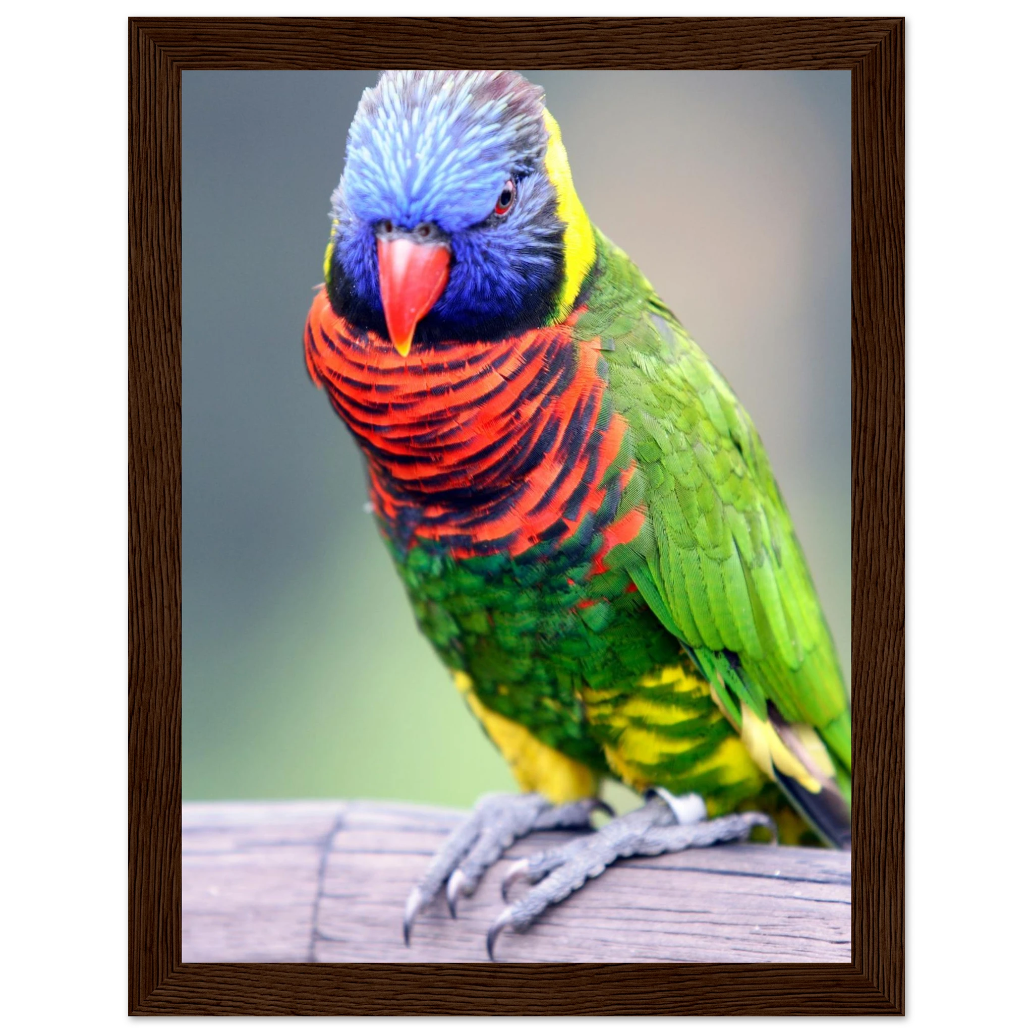 16168752-c2d7-4288-830f-c119b928fdb7