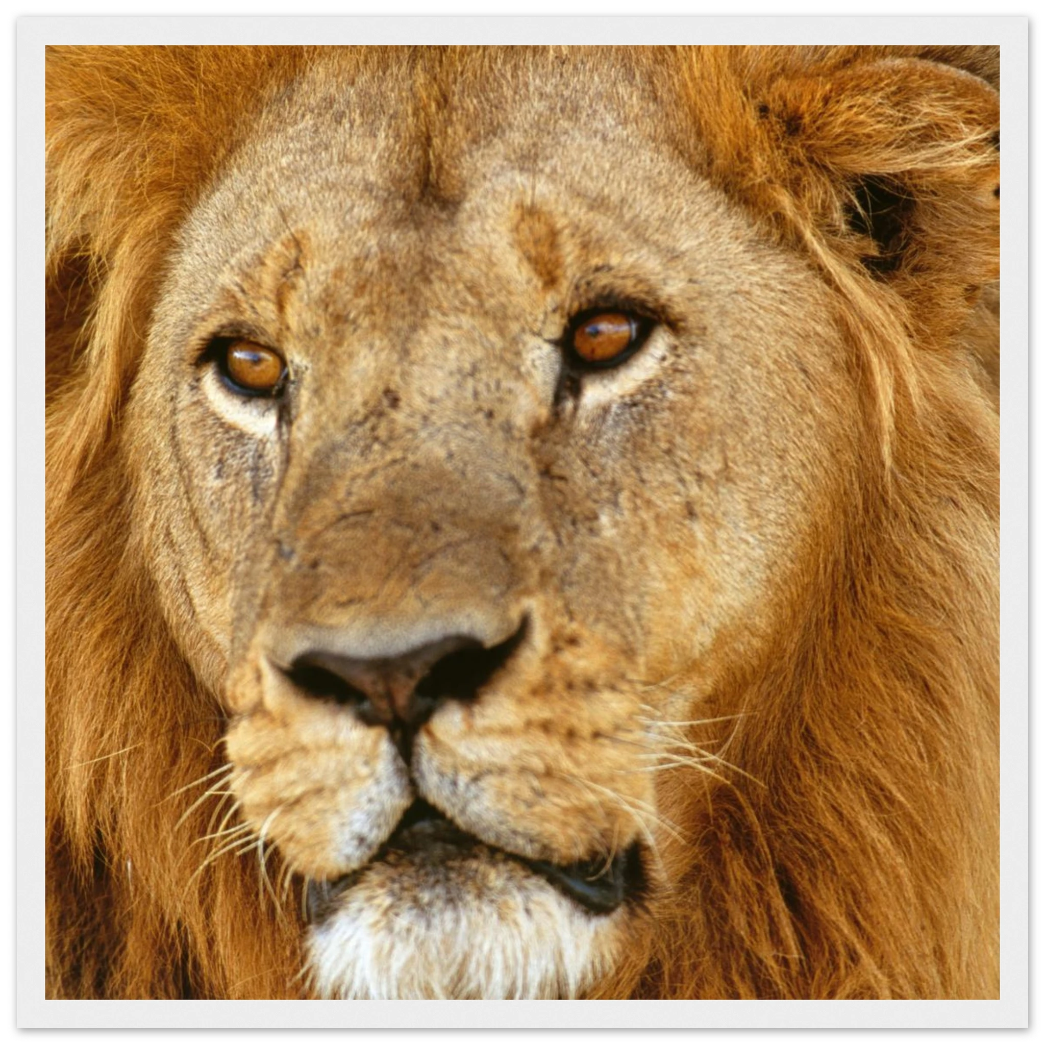 161db70b-c5a6-4061-8f0e-4a8ebe9521d7