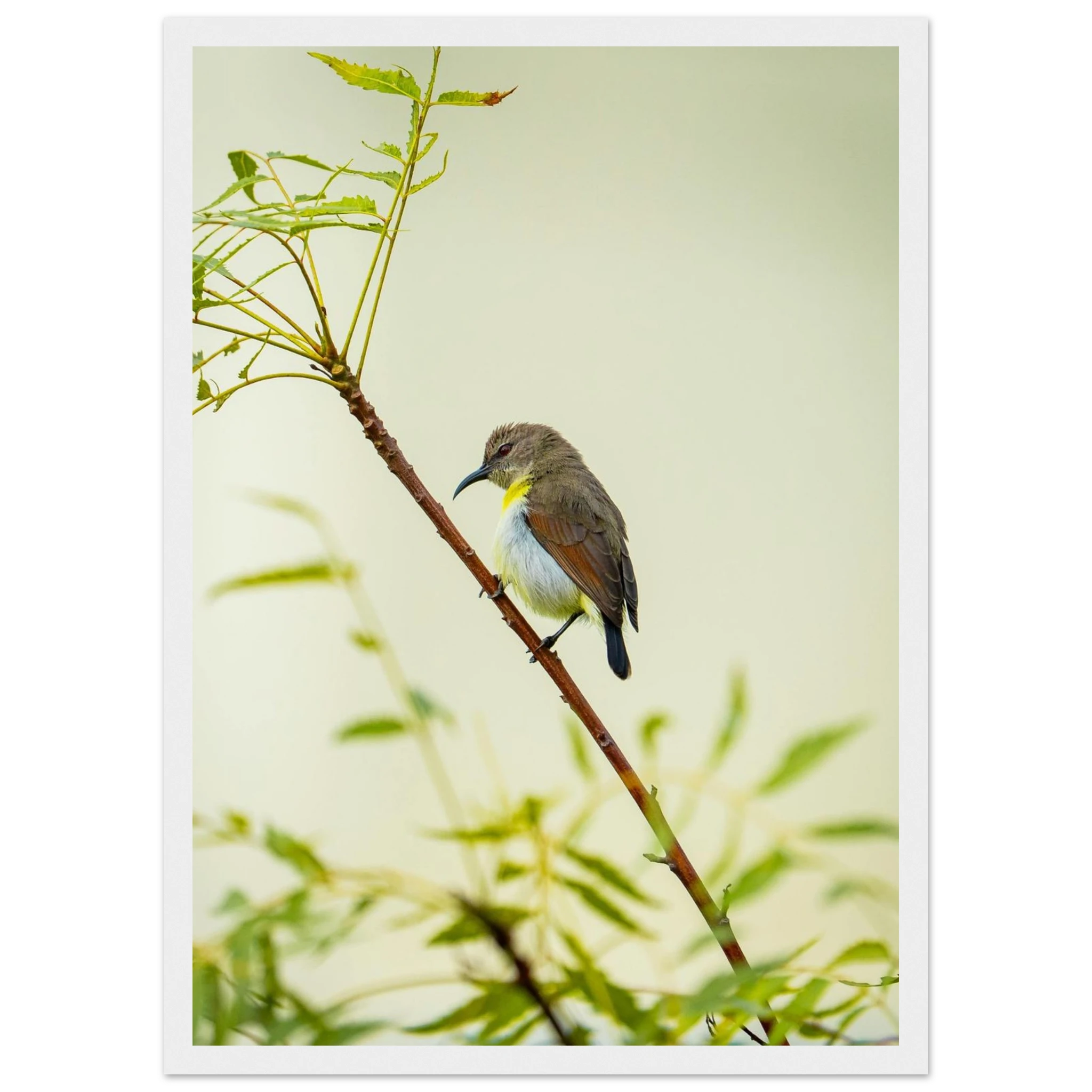 163faace-f44d-4ccb-84d3-c17c788209ca