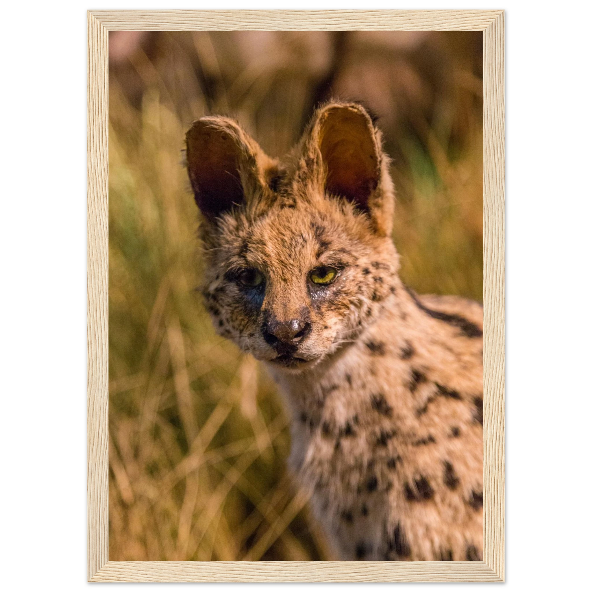 1656d874-2c87-4951-81de-c8dc2bbffc95