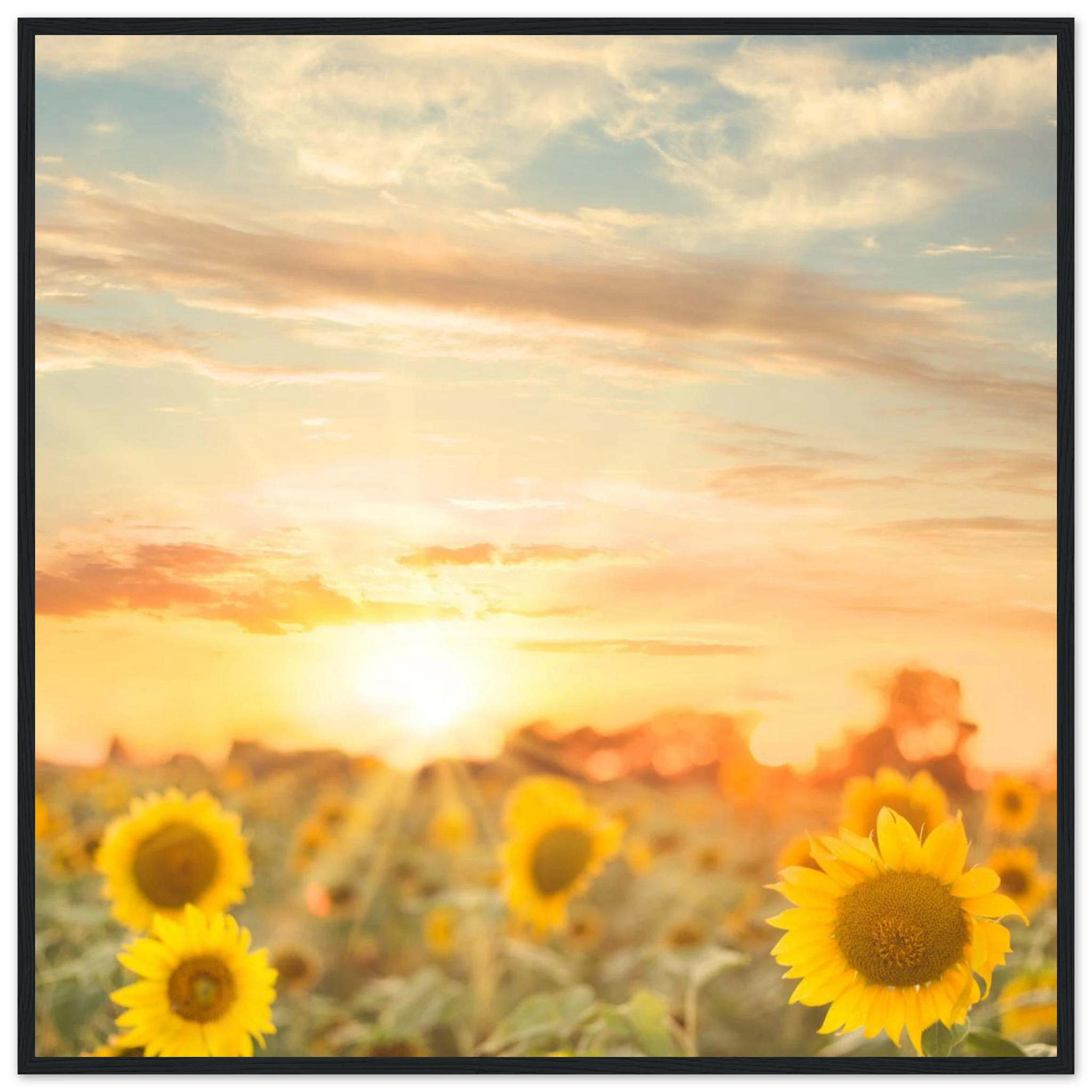 165bd91e-0f71-4302-8d18-877a1c93f0da