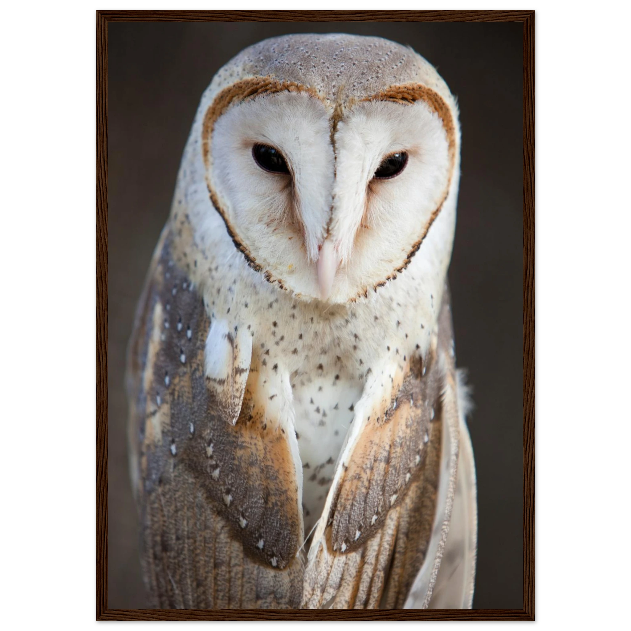 165c6039-29dd-4213-b7ab-94c991729f0d