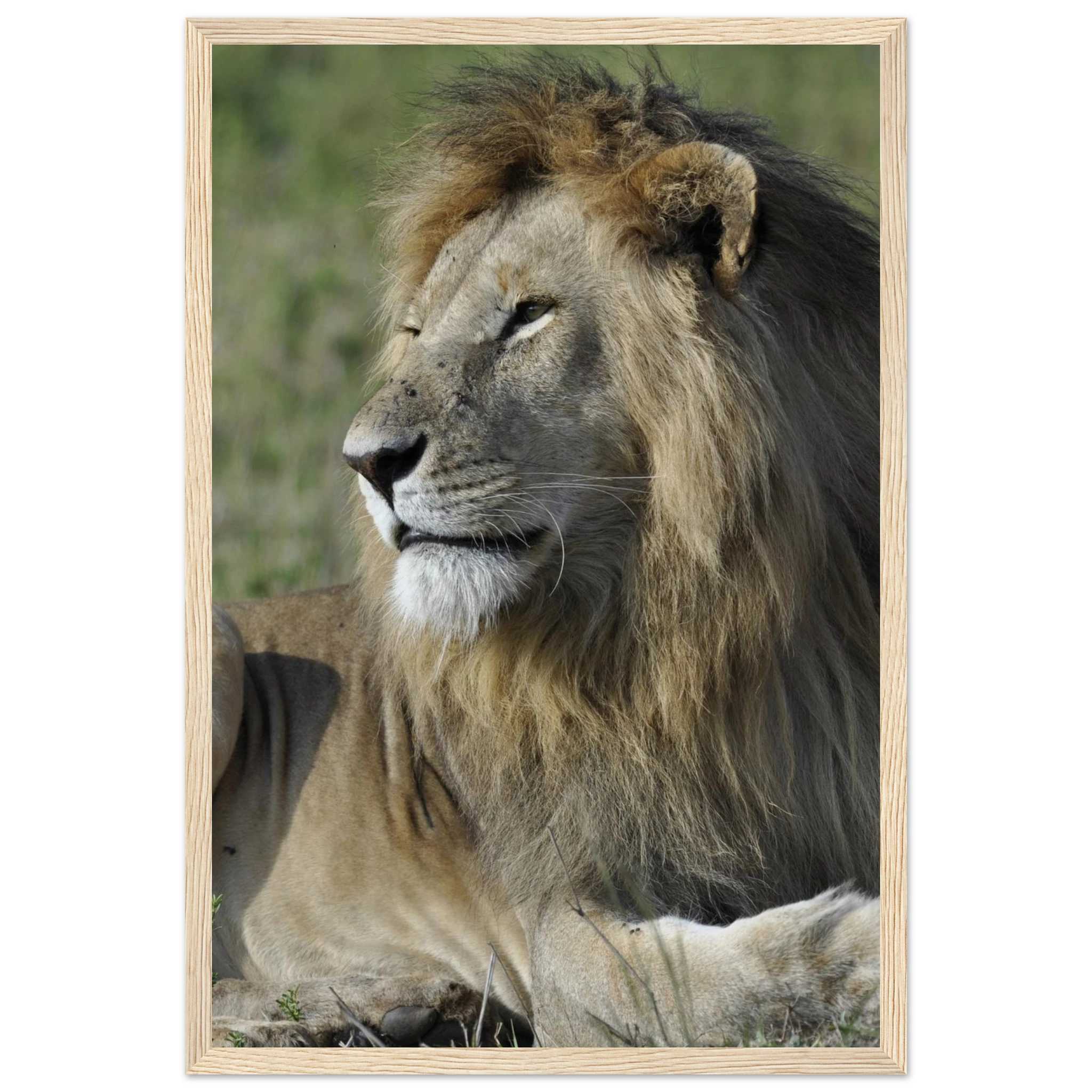 165c8066-414d-456e-bb72-5d64fd5ed7c2