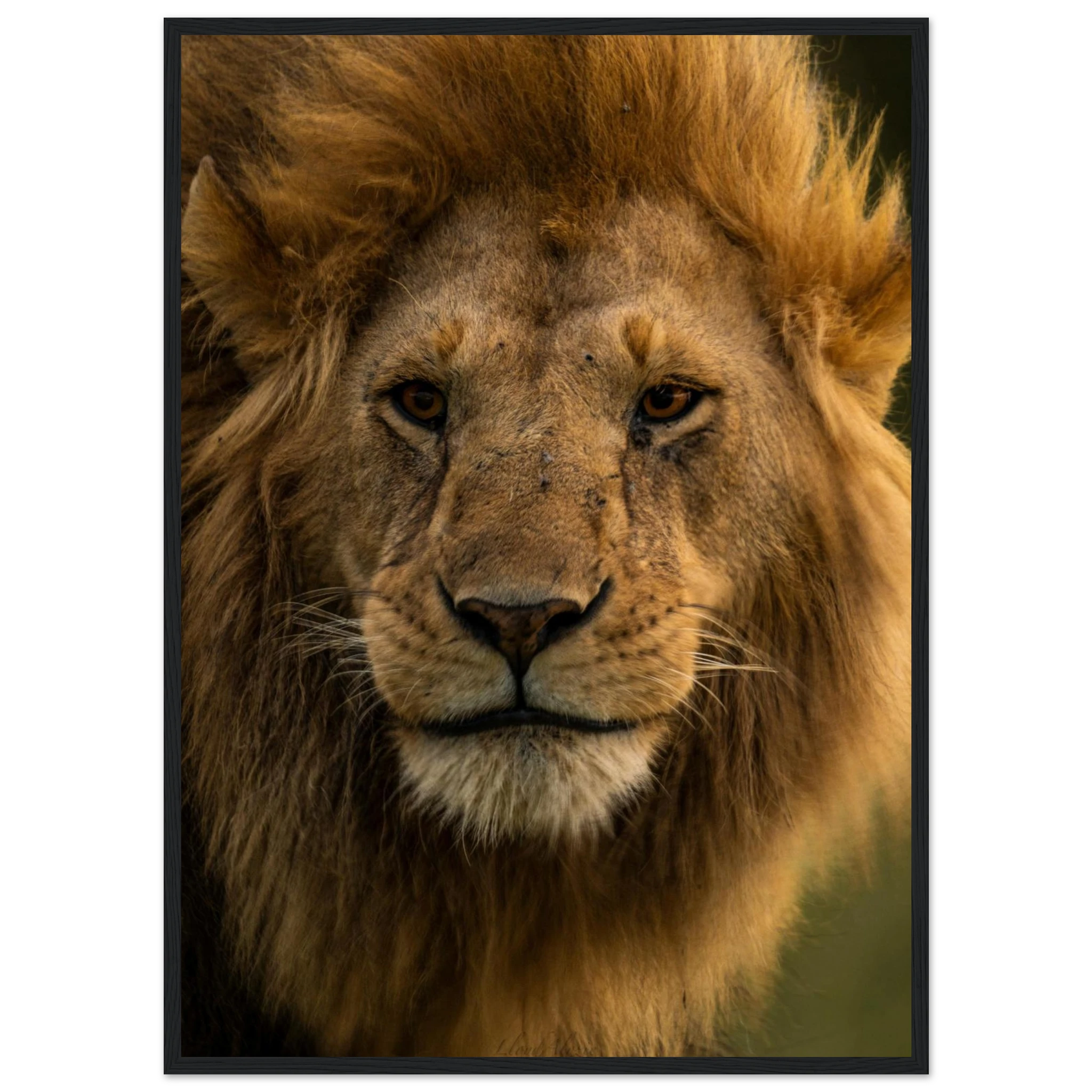 166c1fb7-78af-4579-affc-3aa18fc75b4b