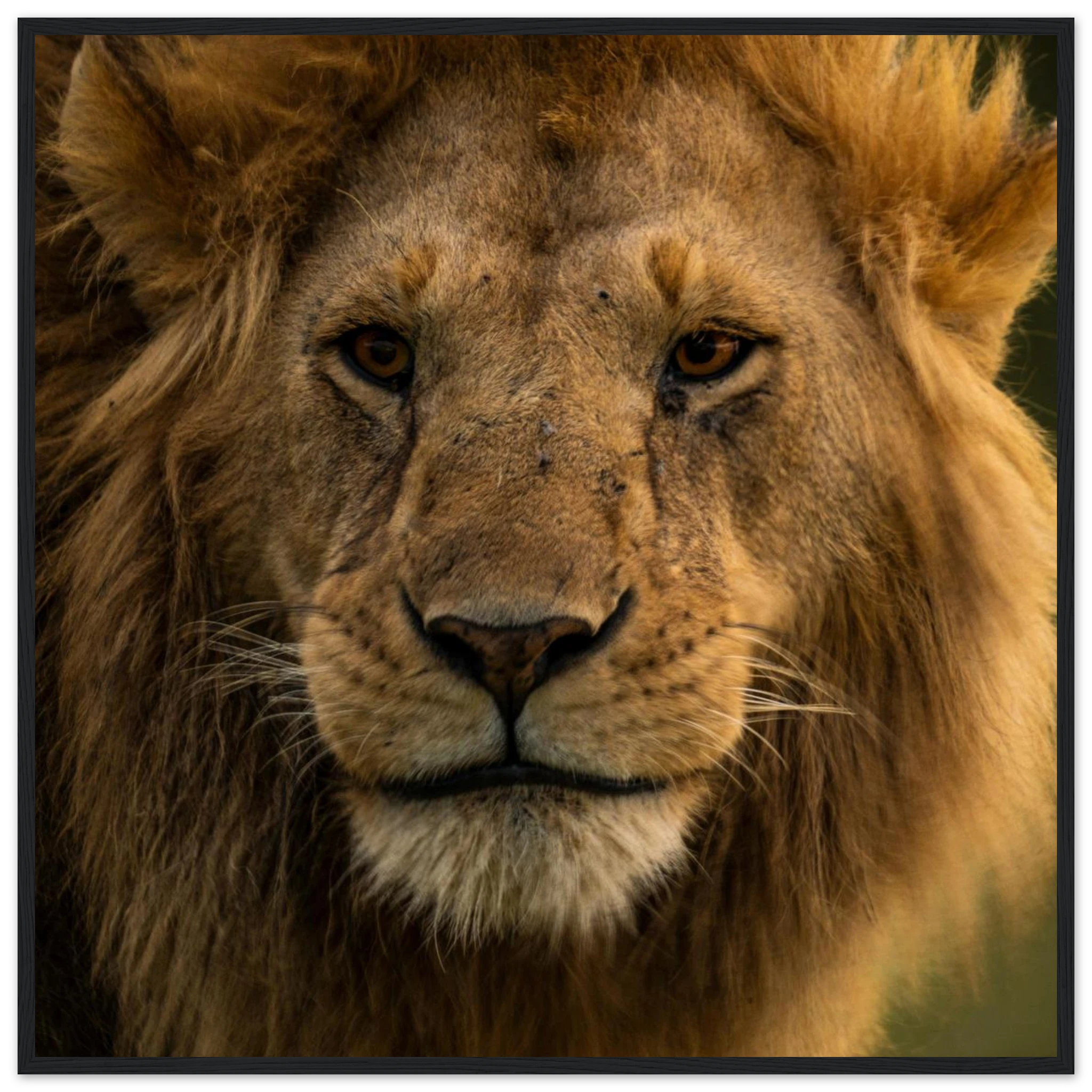 16d02504-d1c5-4180-906e-ef52d3f6bd7c