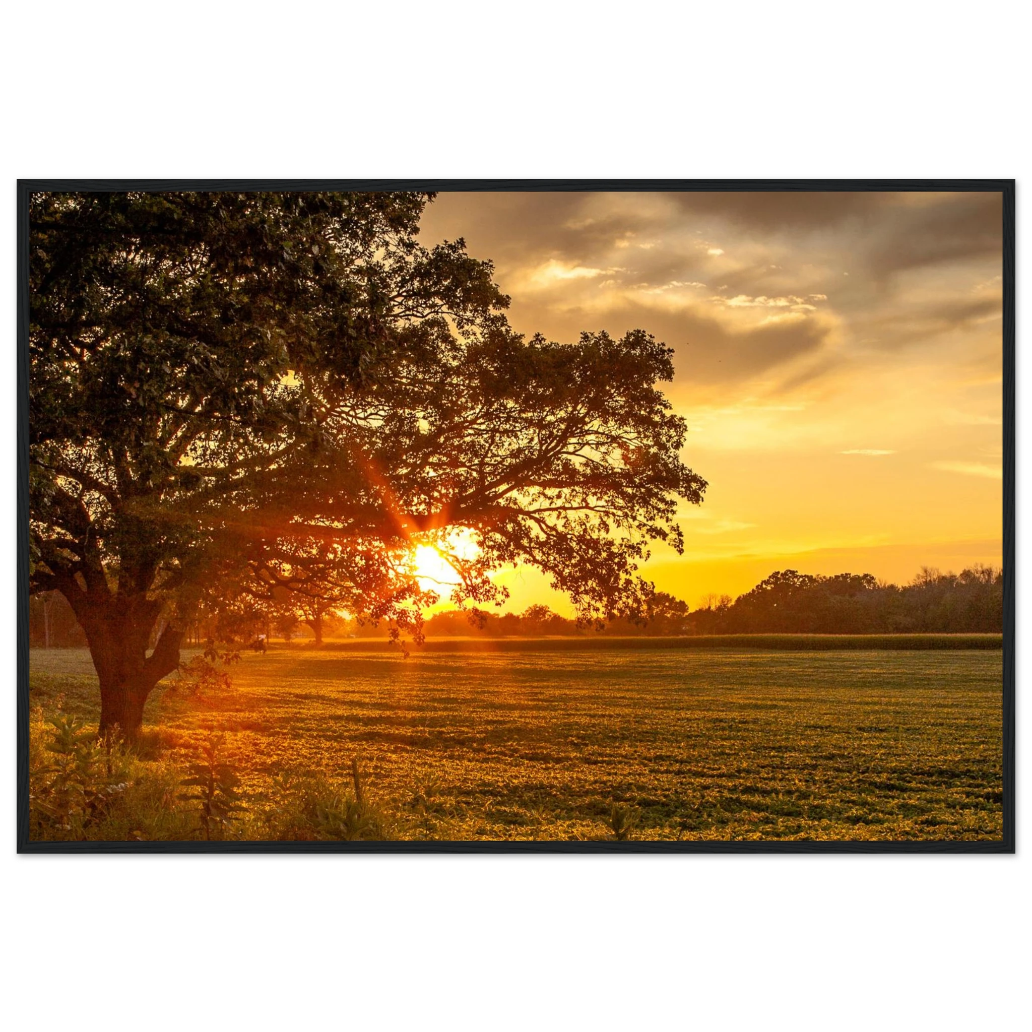 16d0846b-9905-4d13-970a-a311759146f5