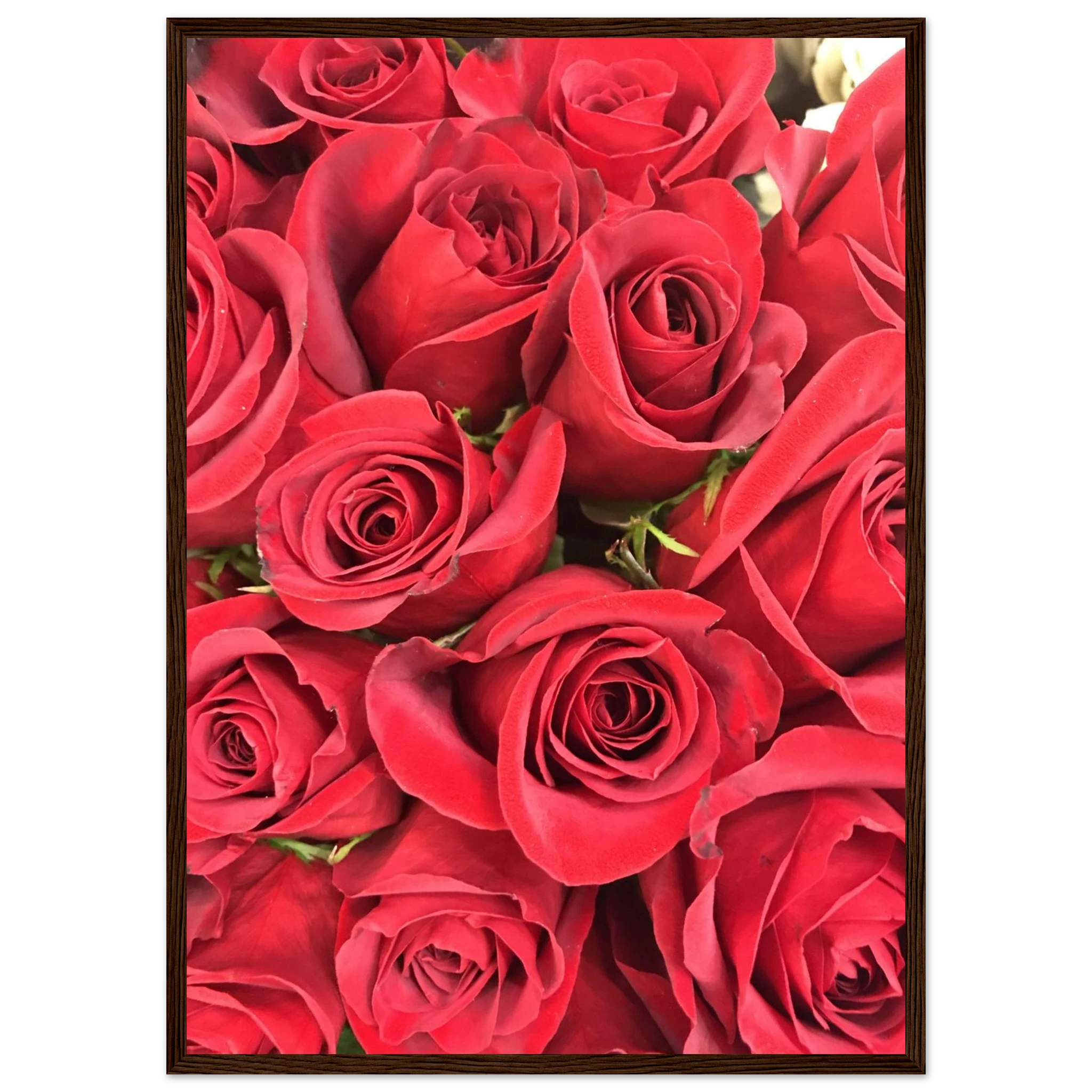 16e55ccd-ac28-4832-b73e-e5debfd78dae