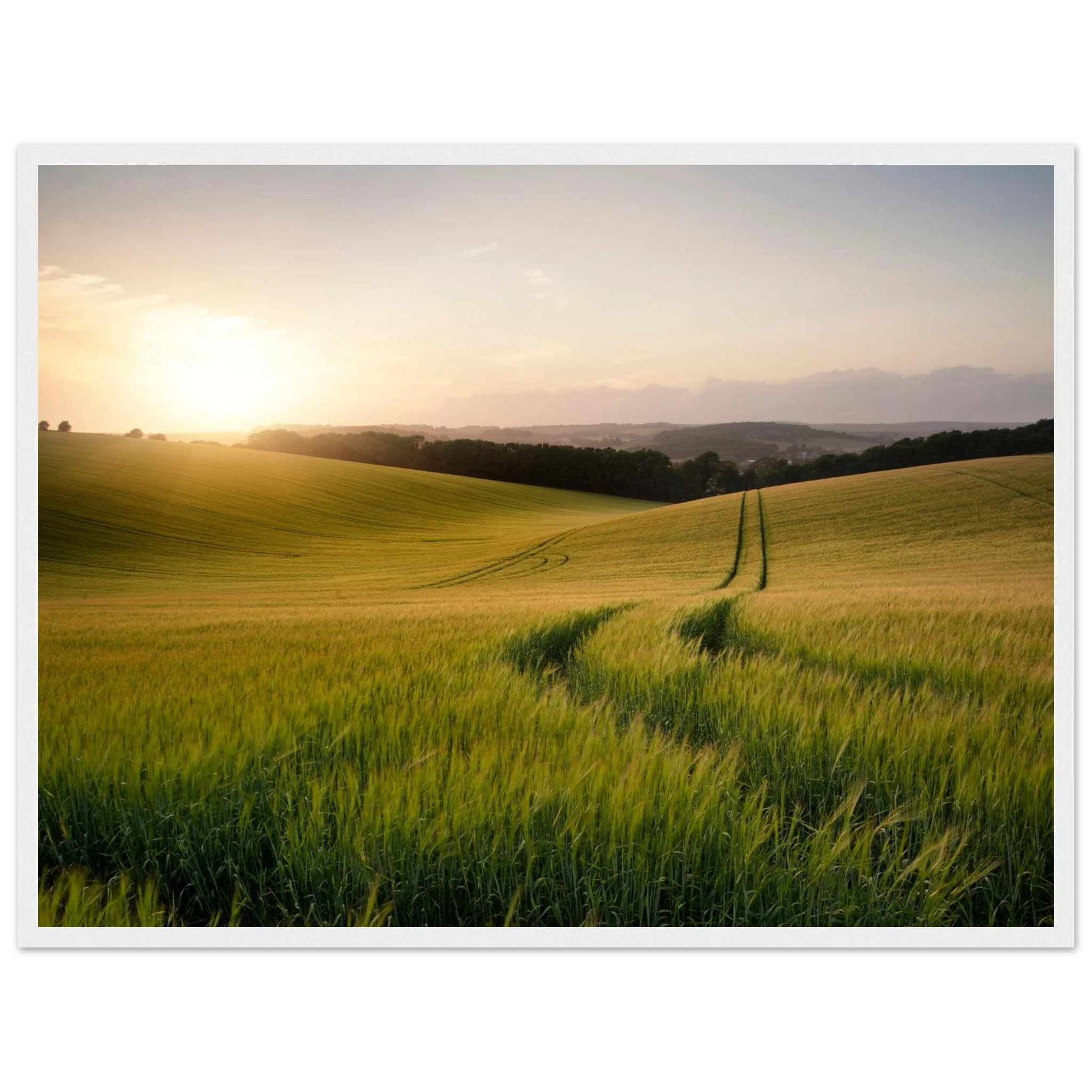 16eb23a6-2cb7-4fd9-b2a2-128ce7f1850b