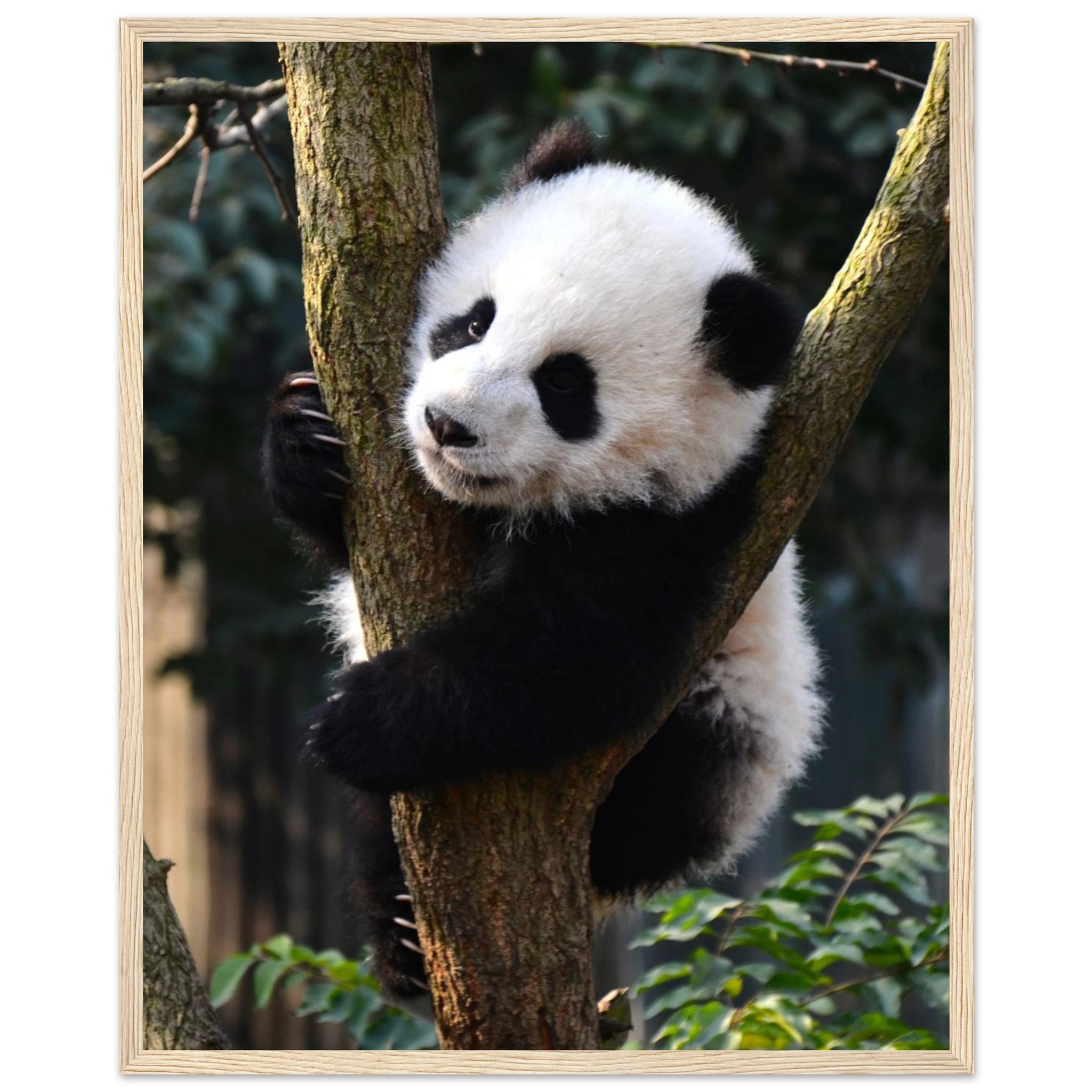 16f5472e-b47b-47d2-8bee-bf83ed28bba7