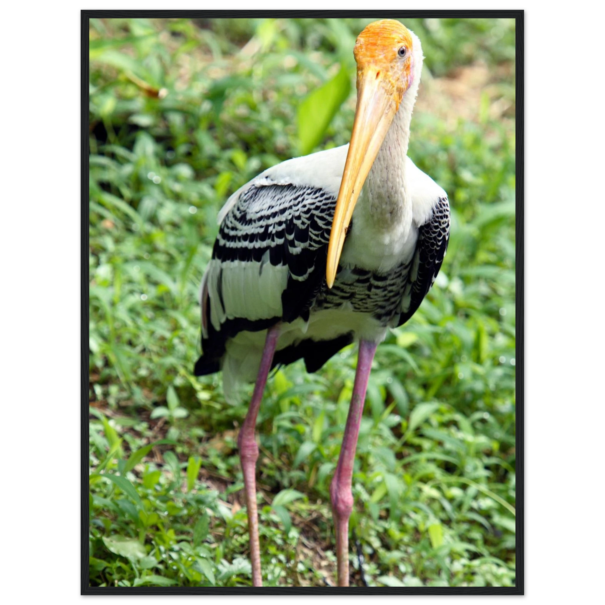 16f557d1-7fc8-4e47-97de-193fe003b279