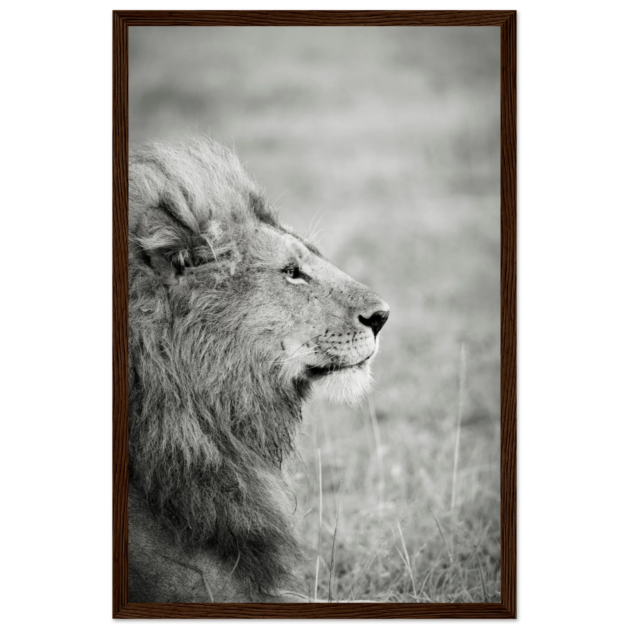 17153ce7-335b-4bd1-8a1b-a641c545307d