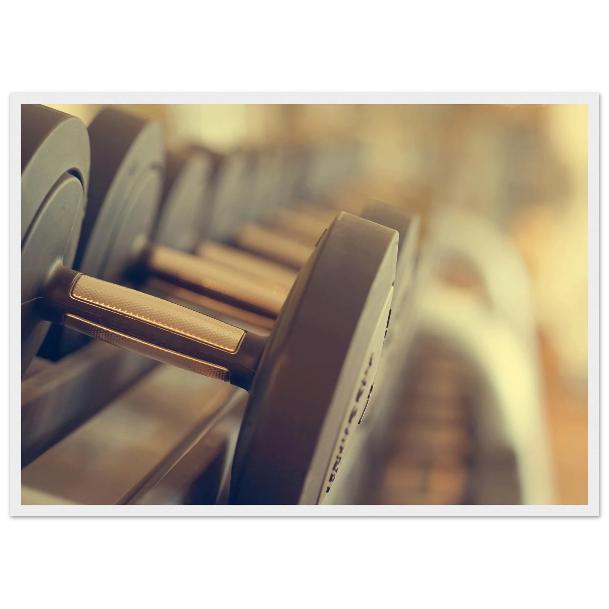 177d2caa-8616-4263-b6b9-97517029e22a