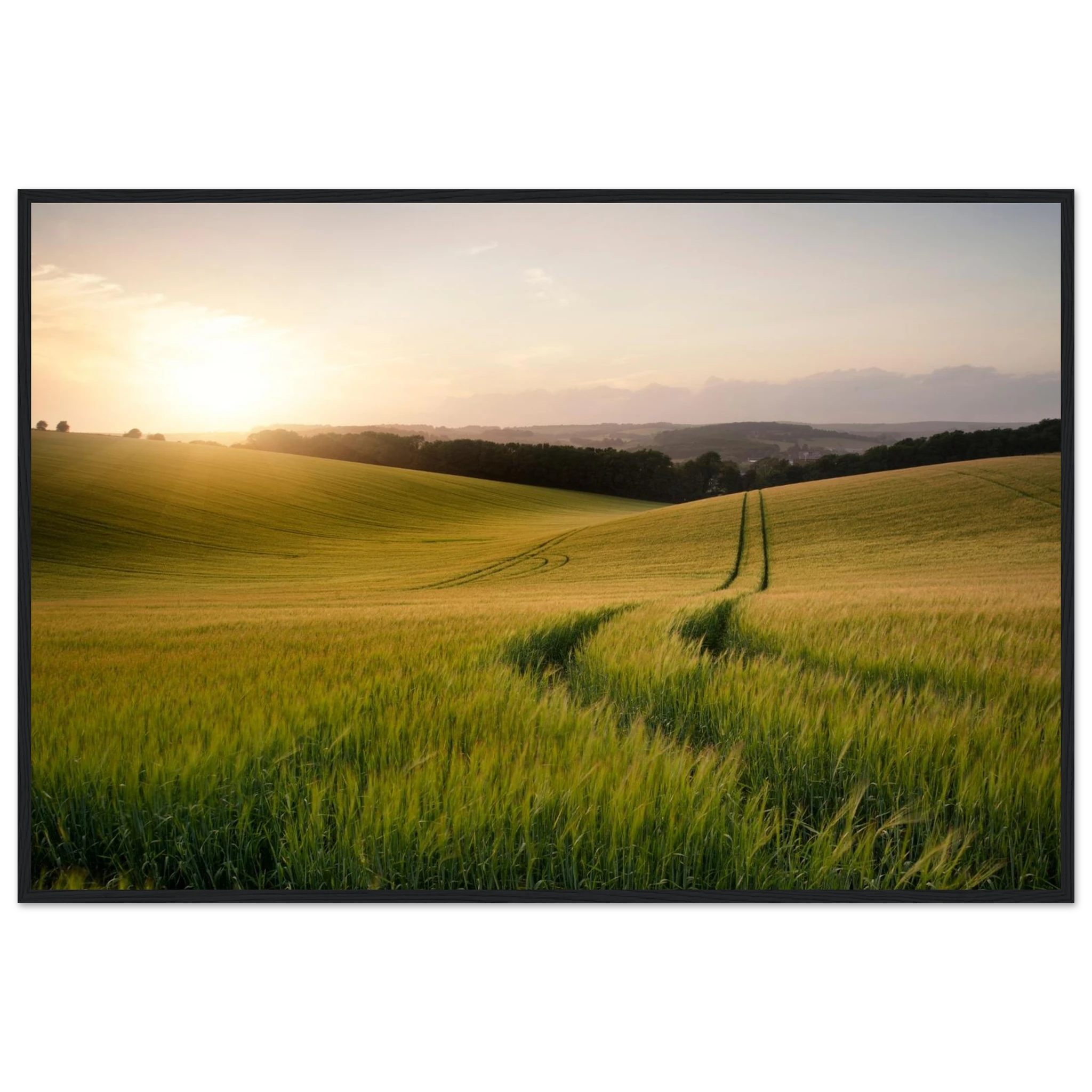 17889fa6-d76e-4892-a12f-3afcb5a80e1b