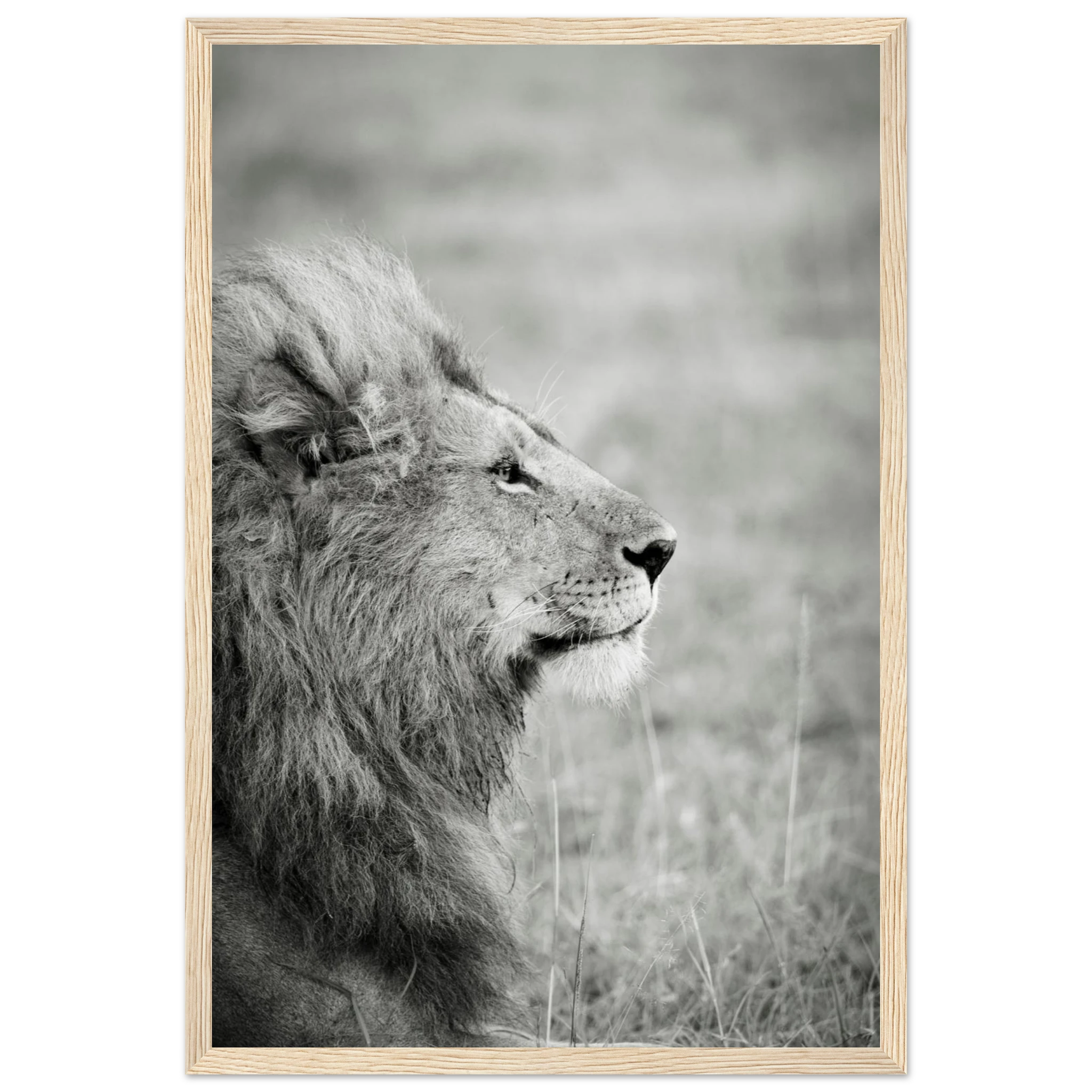 17bbf131-c2fe-491c-89dd-ecfb1123caaa