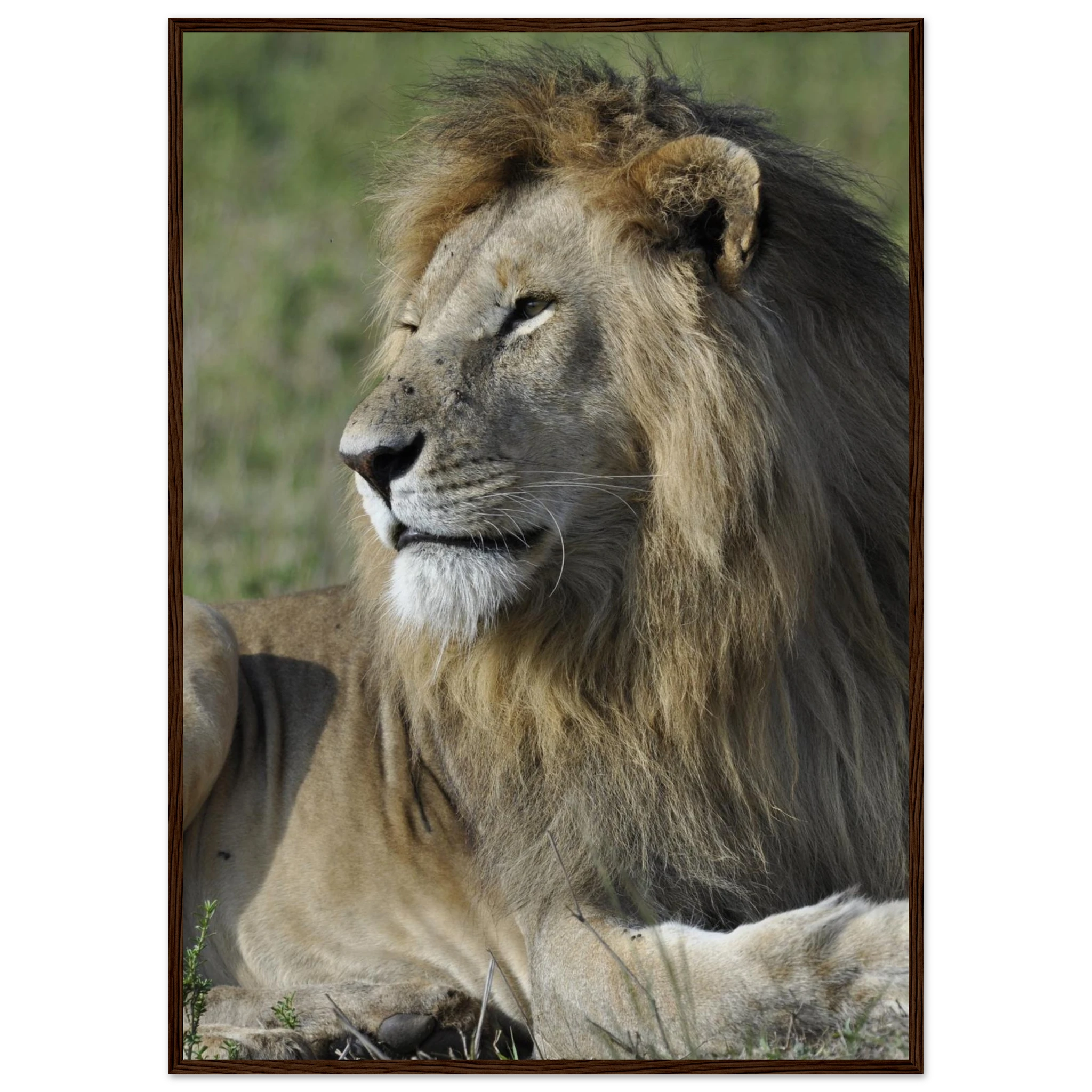 17e0de5a-a9eb-4a5f-94d0-828c88ca01e2