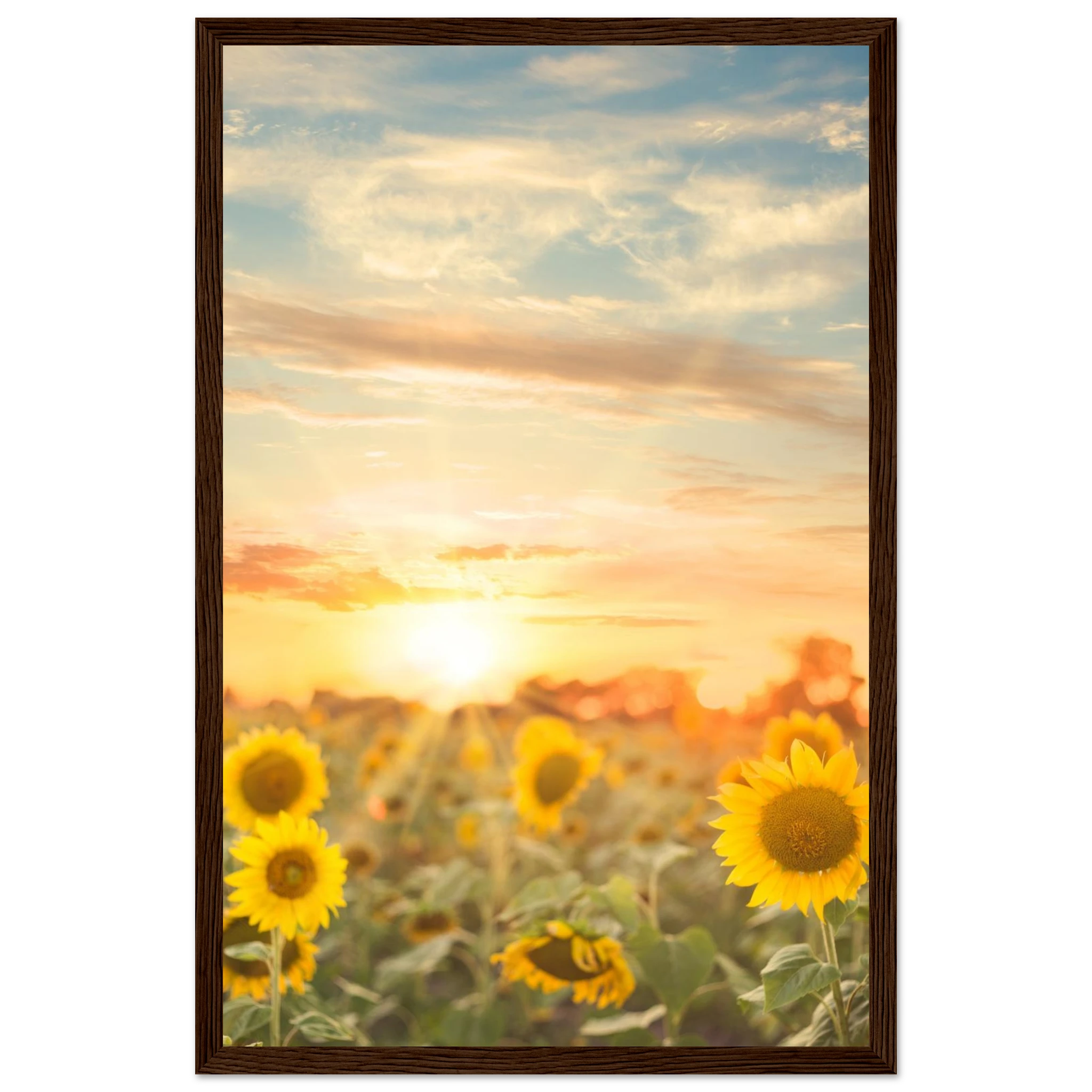 182370c5-d0c4-4892-a985-146c166abc0a