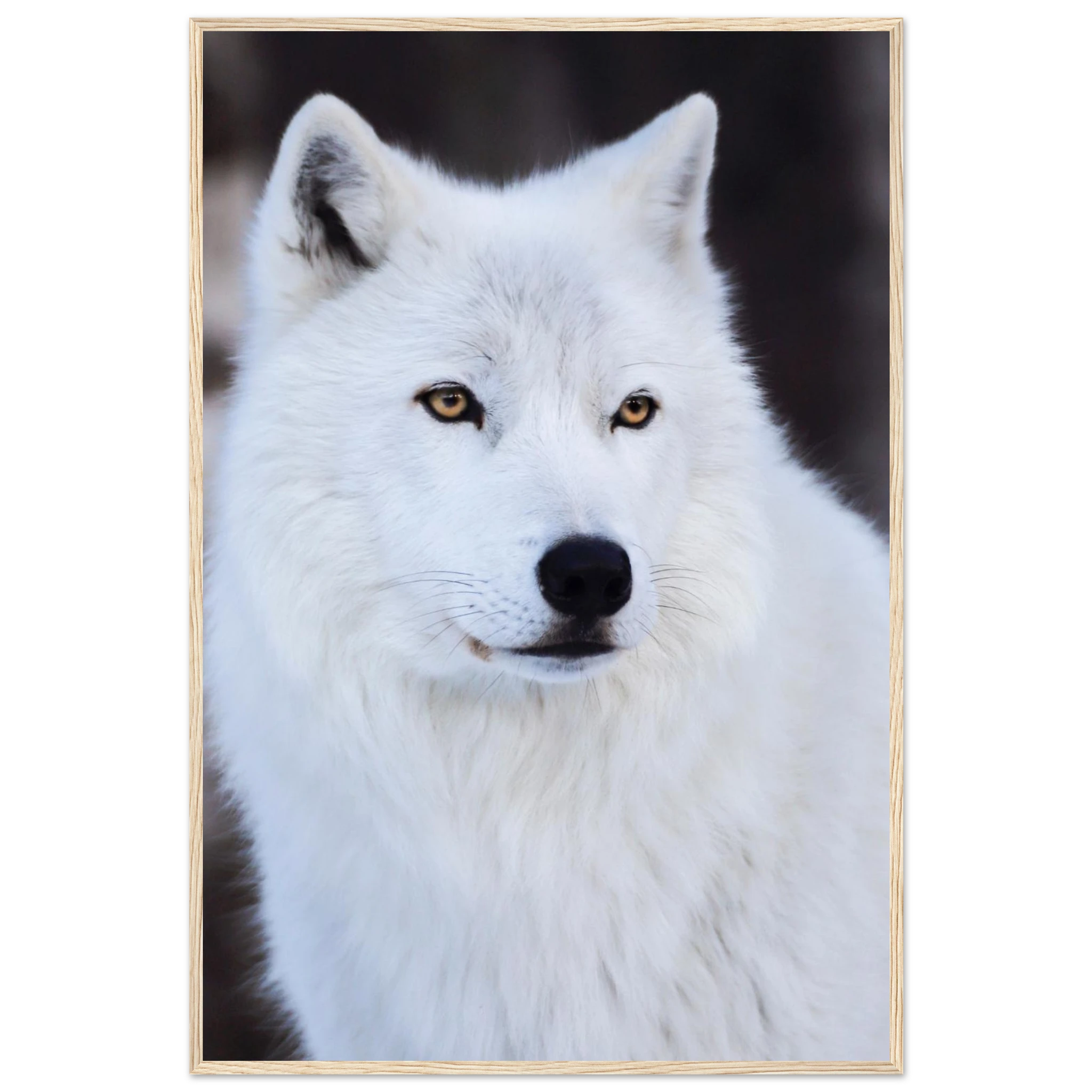 1826de4c-5d33-4466-b430-846986b2cefe