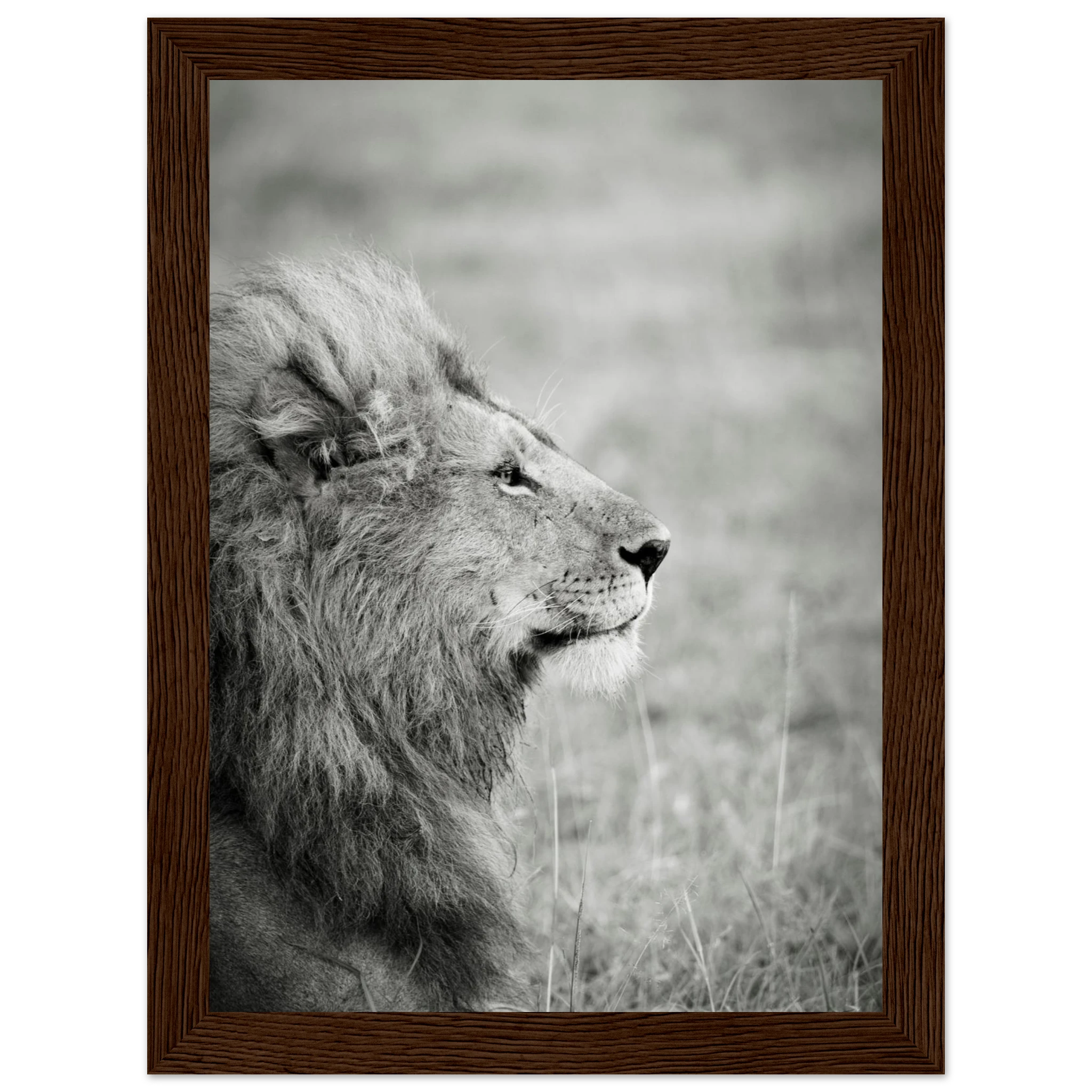 182f8a6b-05d7-43fa-a7a4-e64e83ec76ca