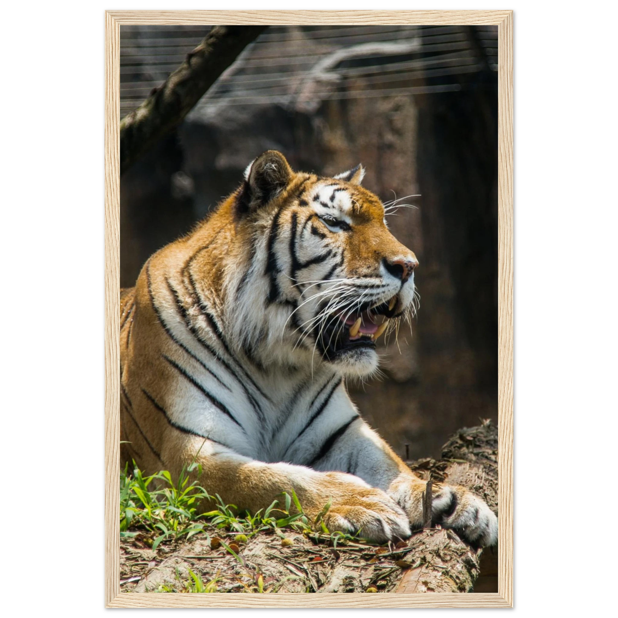 185ecd2d-3576-4e70-803c-2bddbff33df4