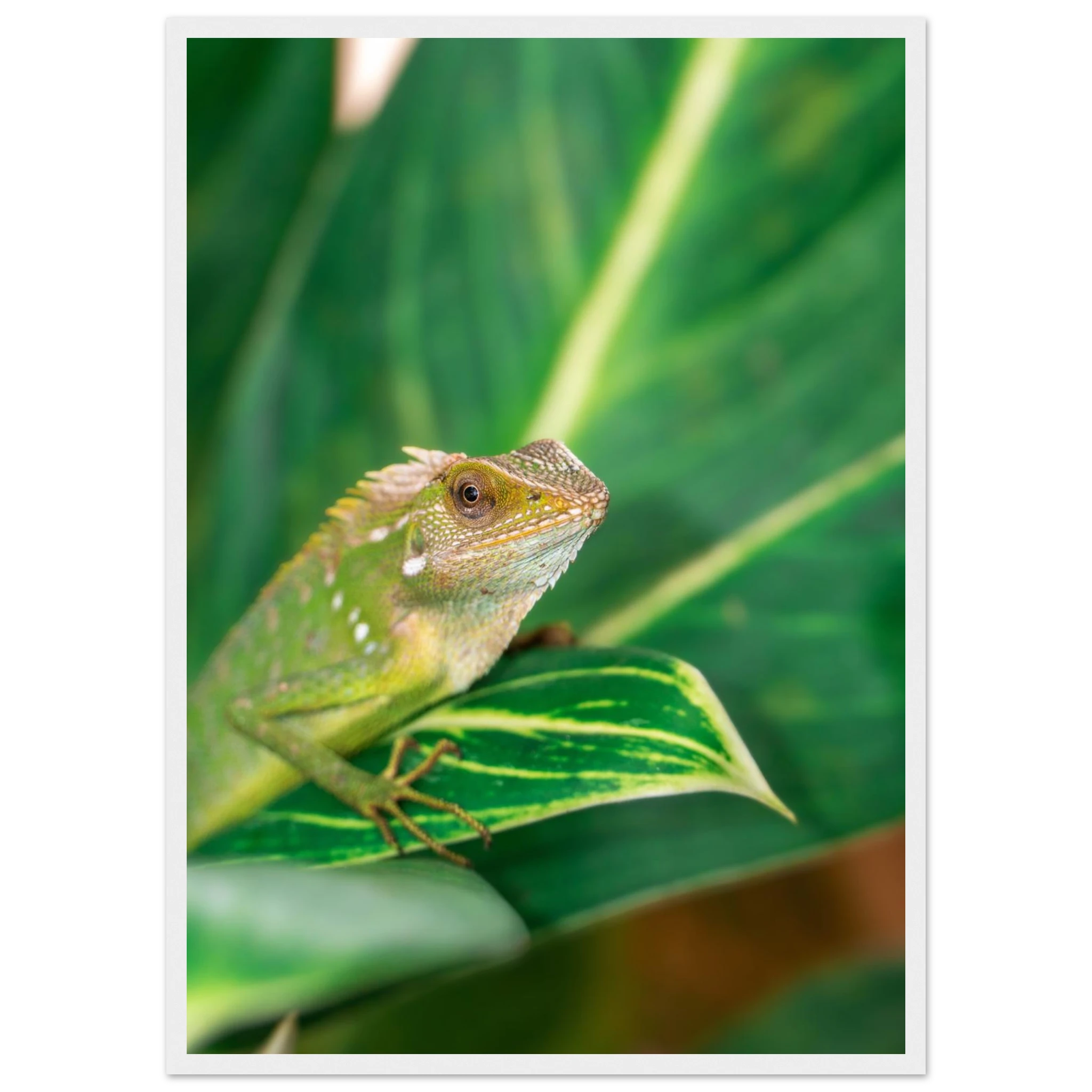 1864efbb-b9cd-4d46-a6e5-a4140aea44c9