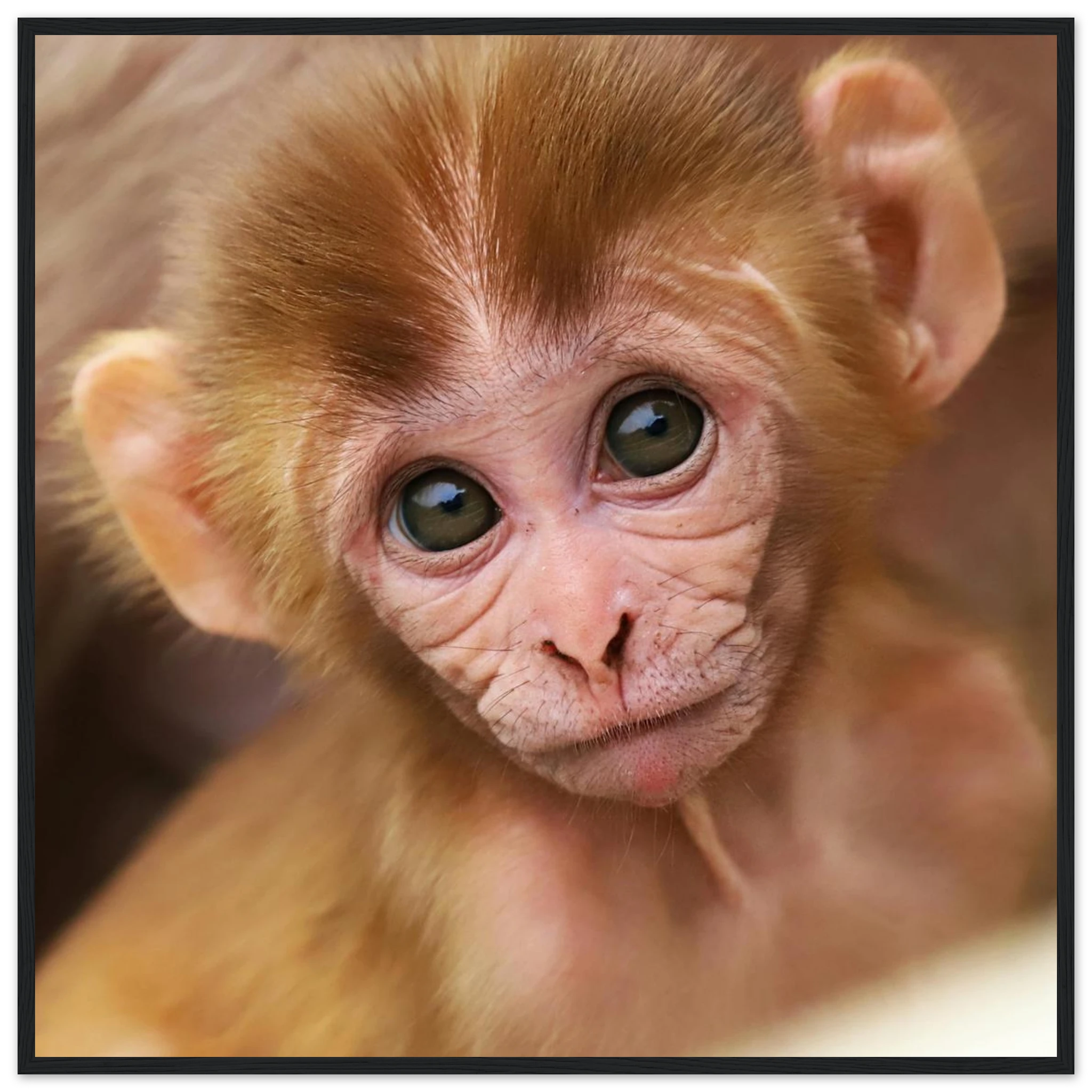 188138a9-1d31-4a74-a407-5c40c92243f5