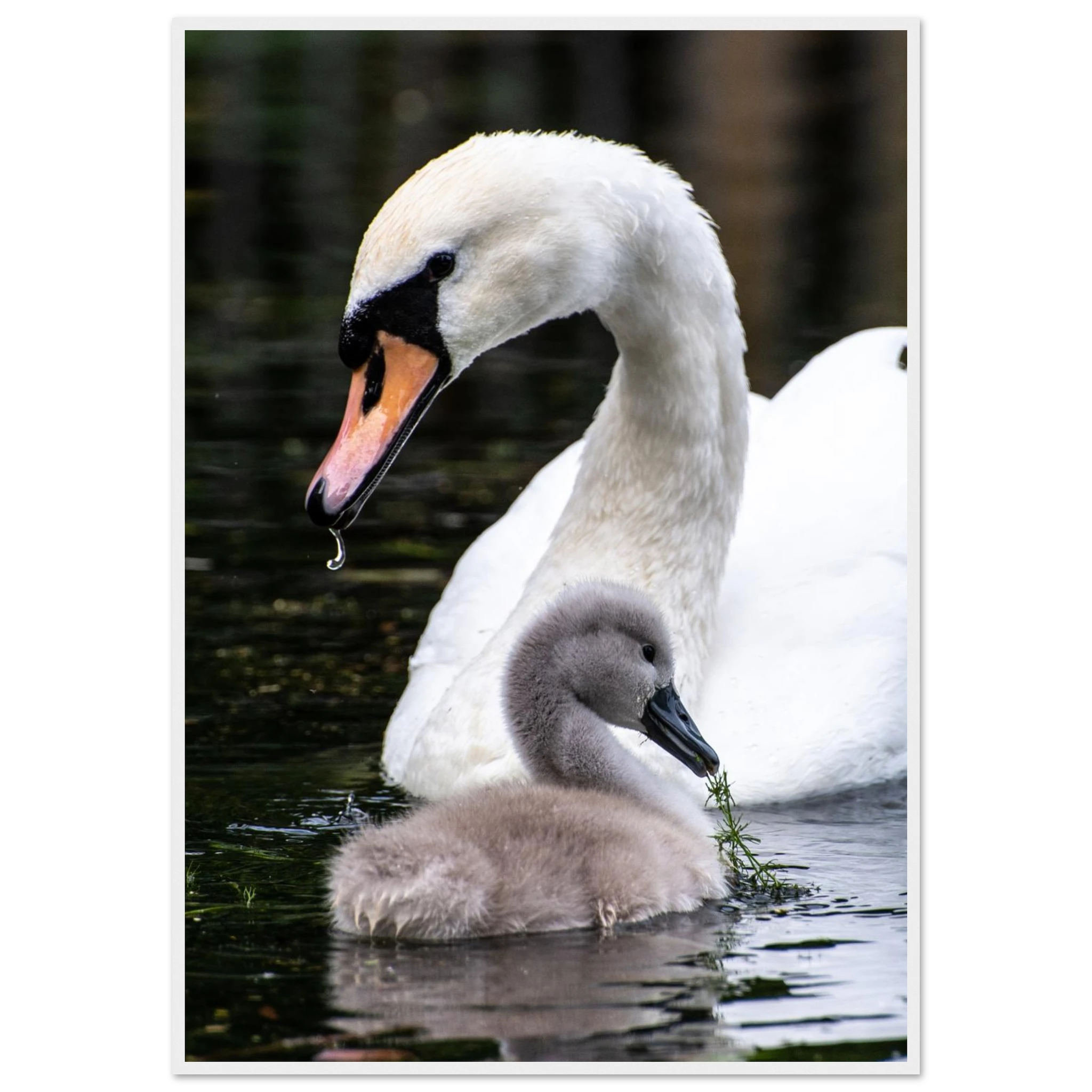 1883b55e-2dcb-4078-94fd-e6deee5095fd