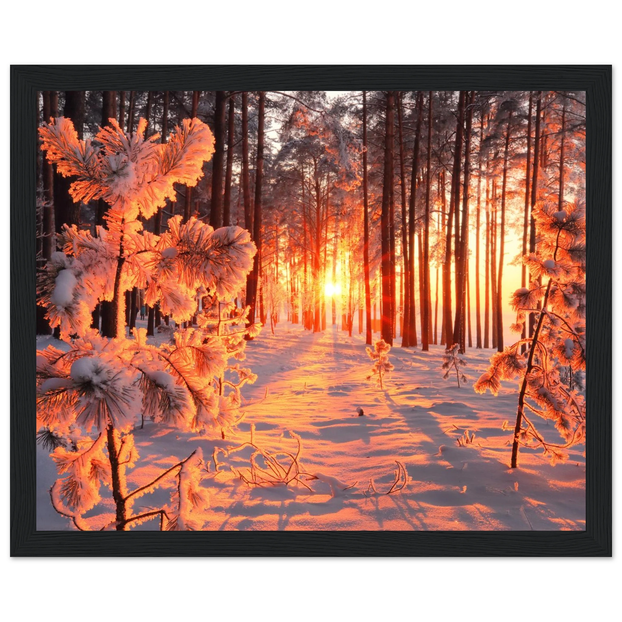 188fb9da-263e-4b76-8cb4-213b6b679cf3