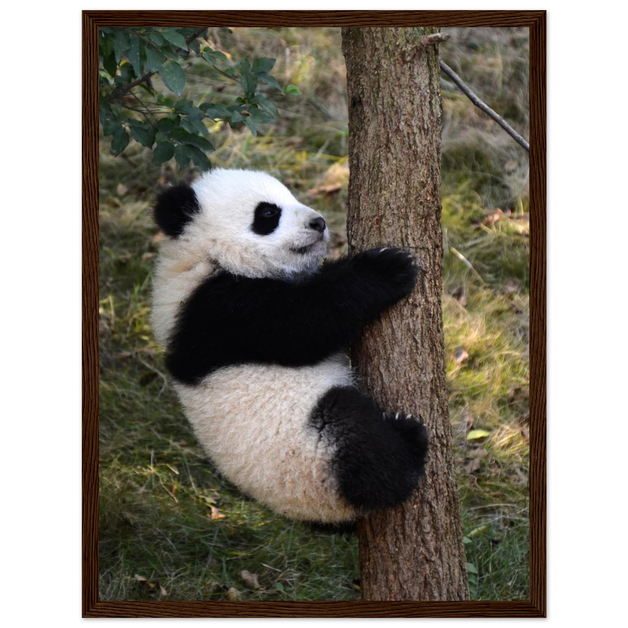 189b8812-8f26-47ee-a190-2ea562e82341