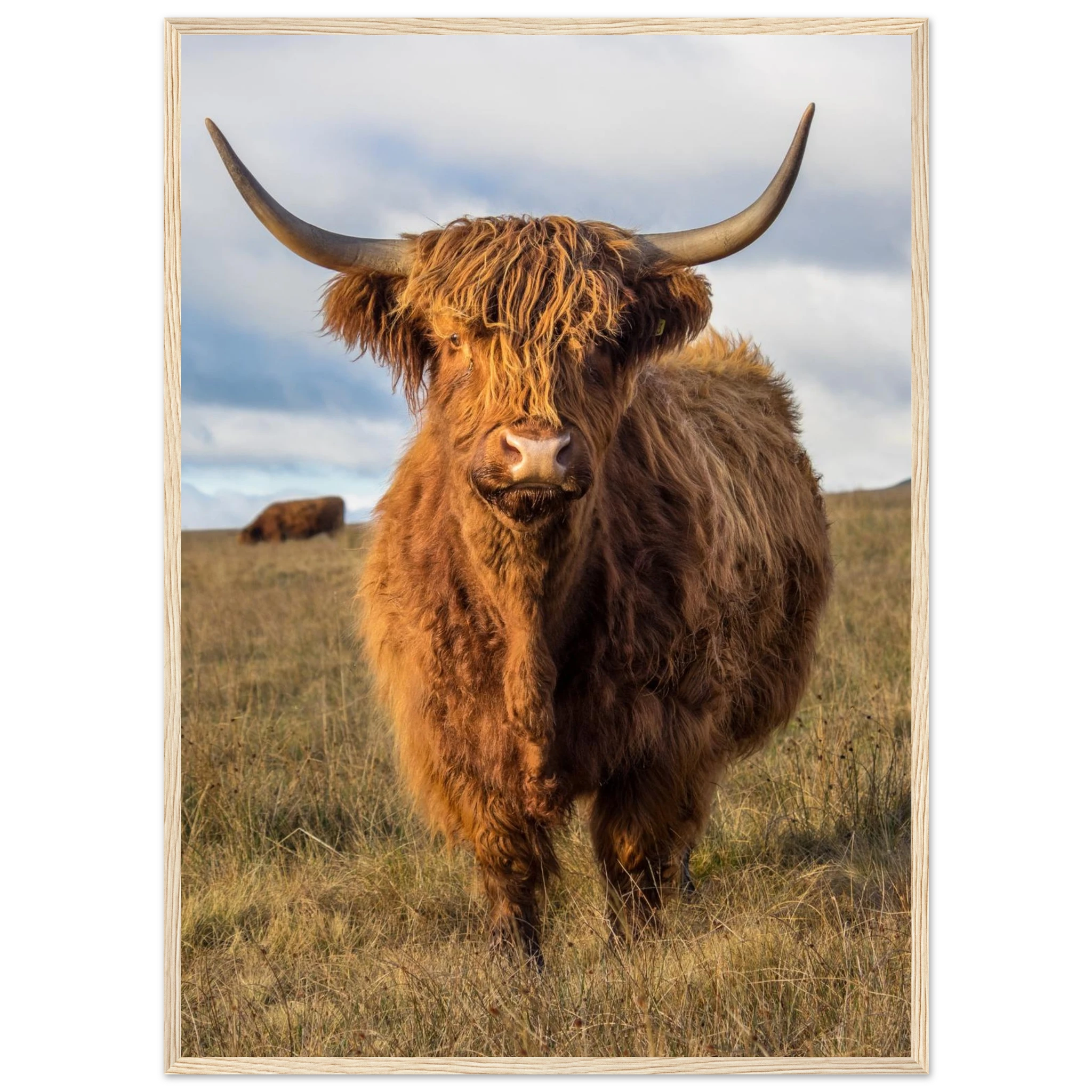 18a59fbe-b9c6-441a-8fd8-59352a5c78d6