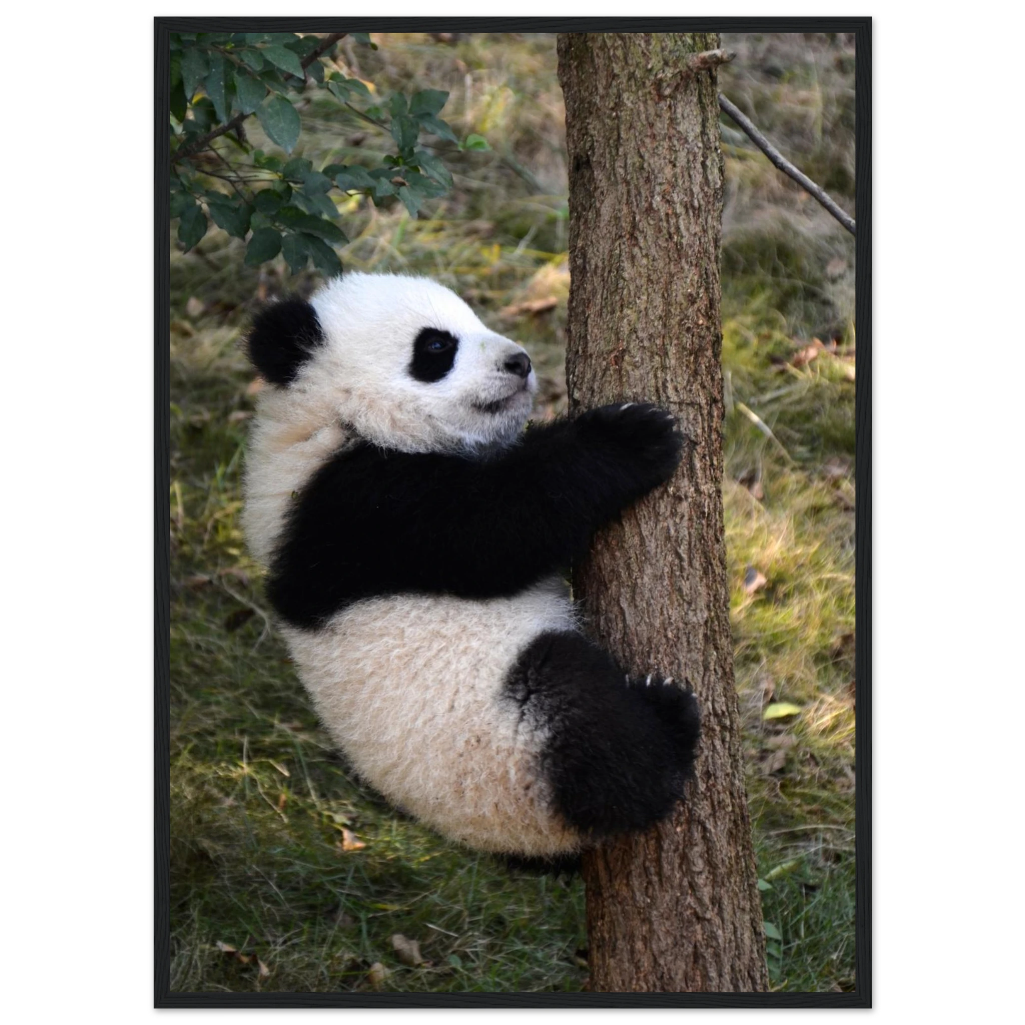 18cb7b00-d560-433e-8aee-e5e9b4cd671b