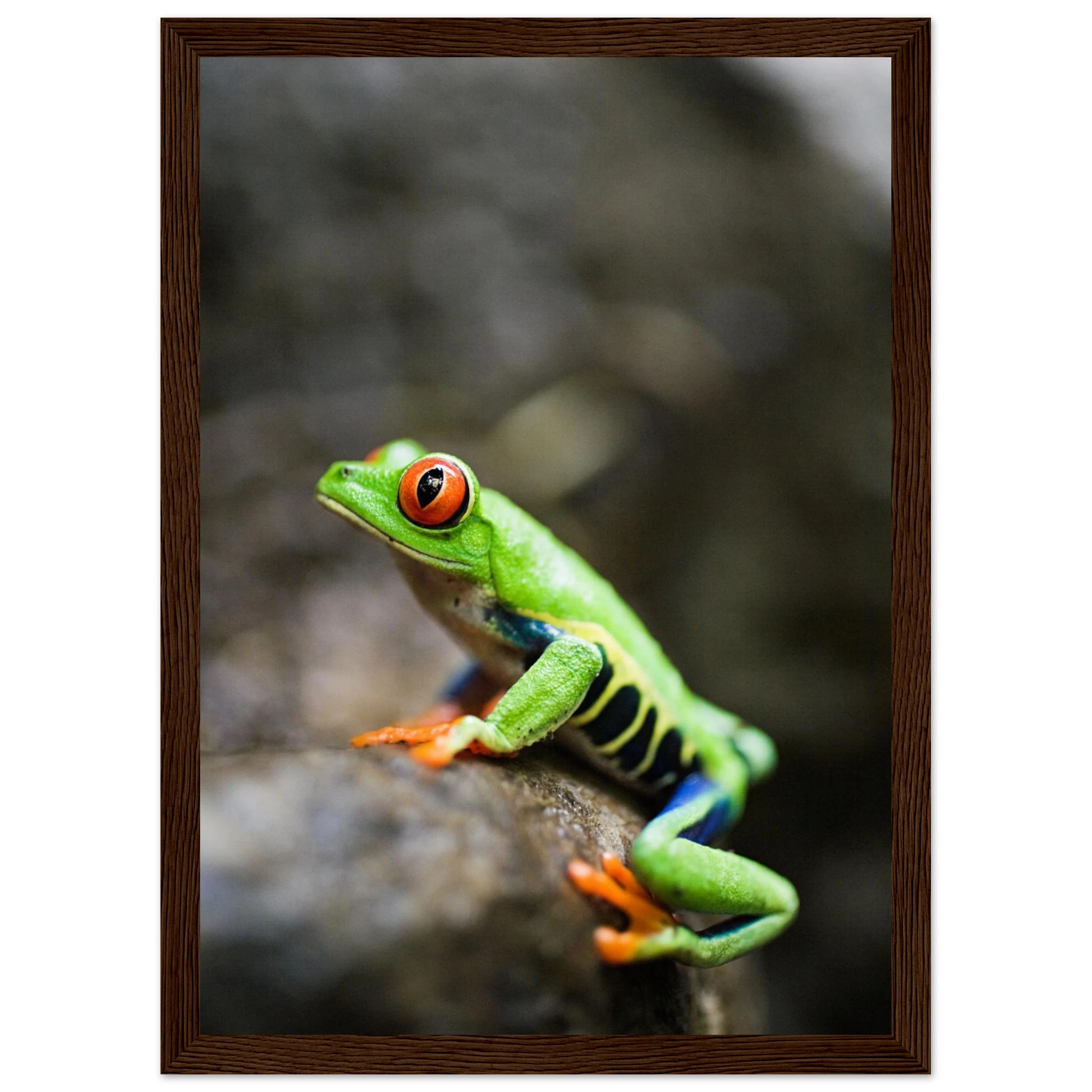 18d84d22-a97a-4f78-91a5-e728c5947985