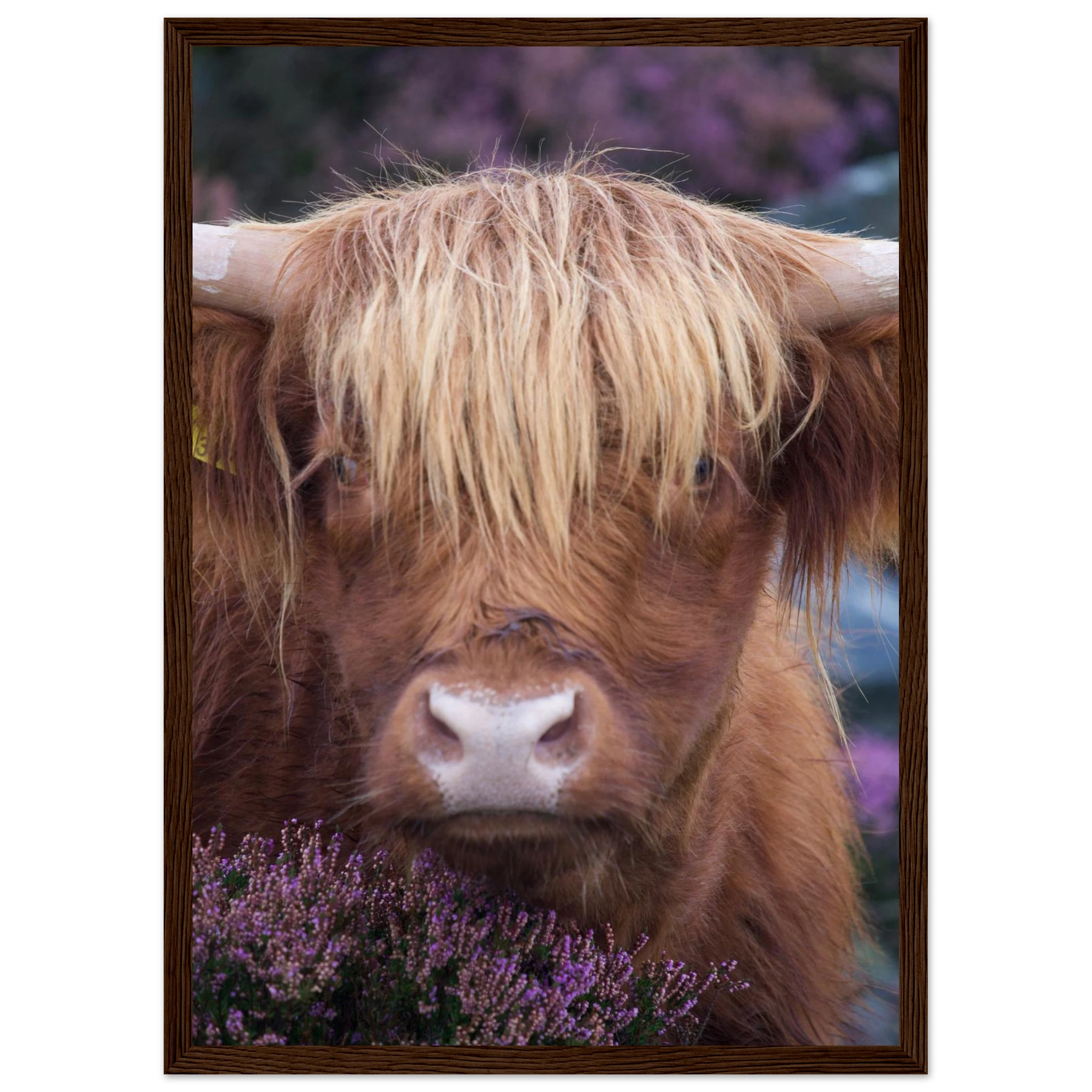 18e04c76-e3b4-4c23-afa3-d3e20e936ada