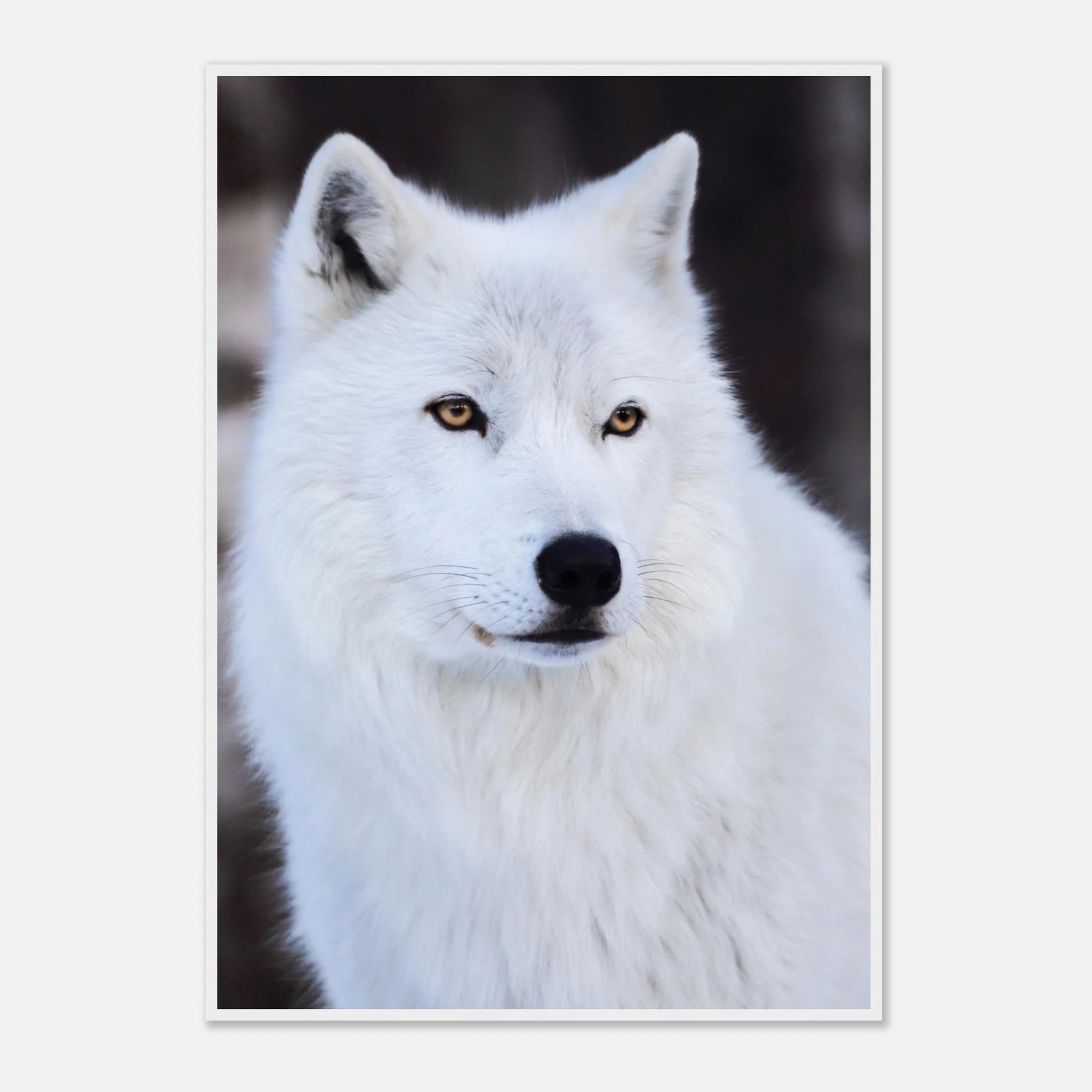 19059a89-e519-4c58-ab5f-0d13e0e475a3