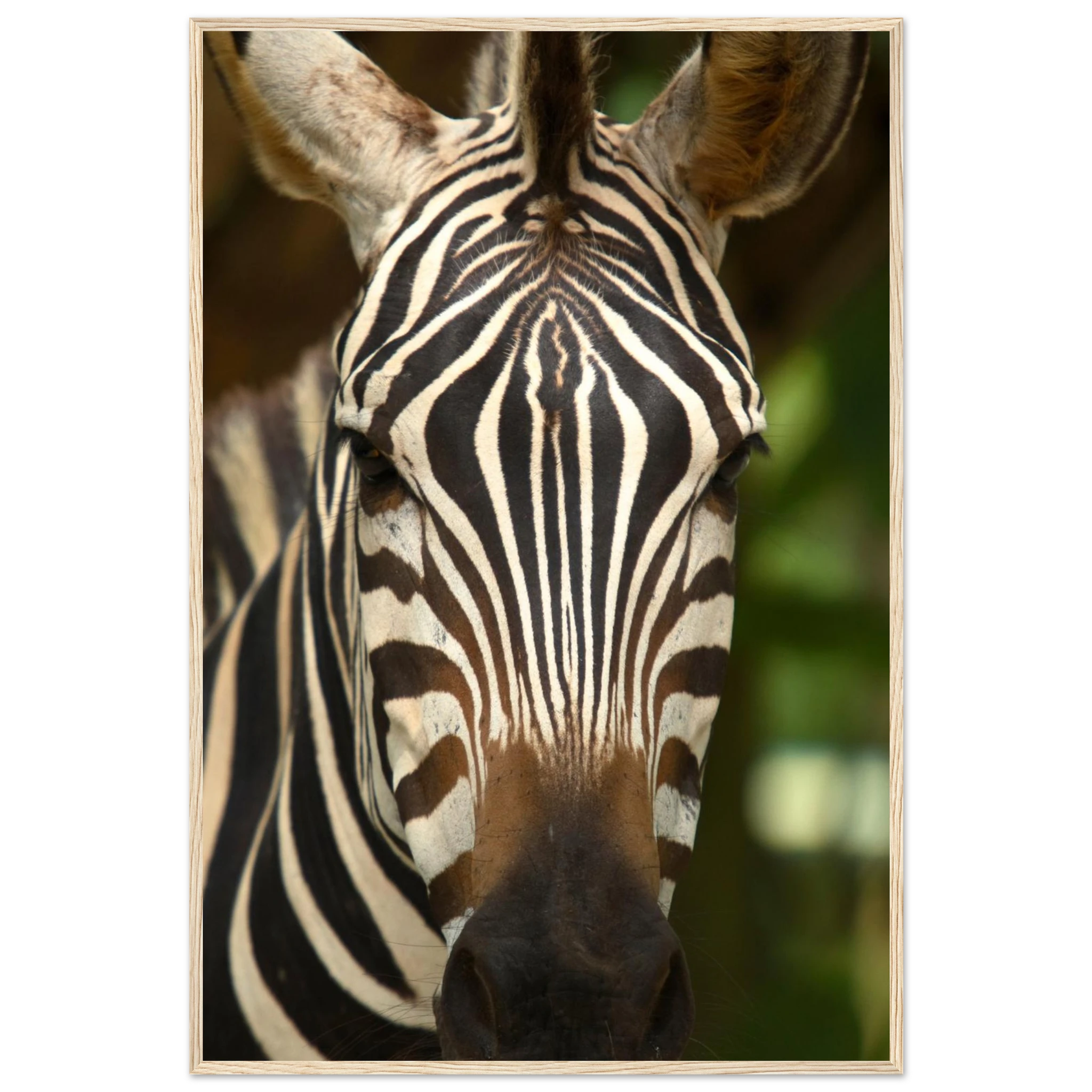 190968e6-fb89-4f1a-840b-34a6523533dd