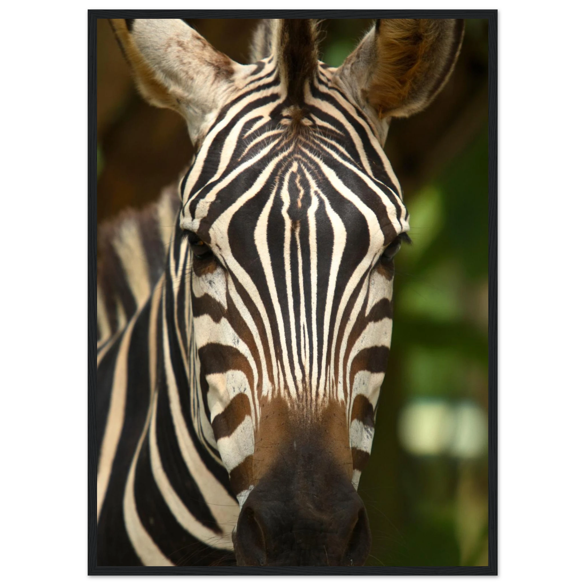 1918b153-2978-4ebf-abc6-9cad479d4ce8