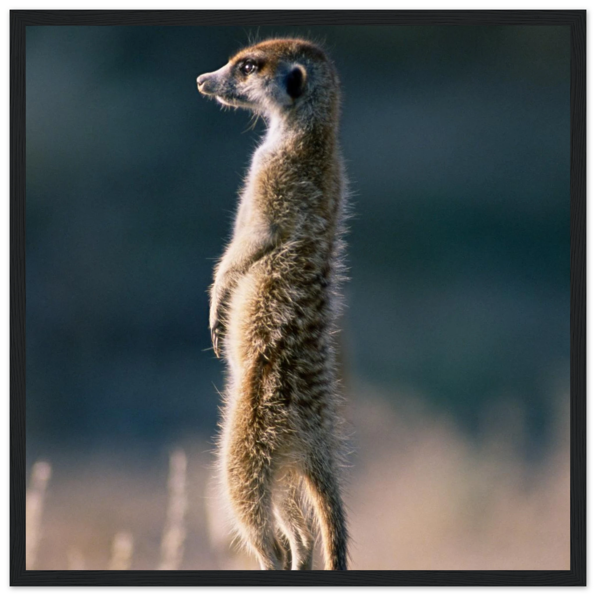 191fe1e2-1d16-498b-976e-1324d6e35781