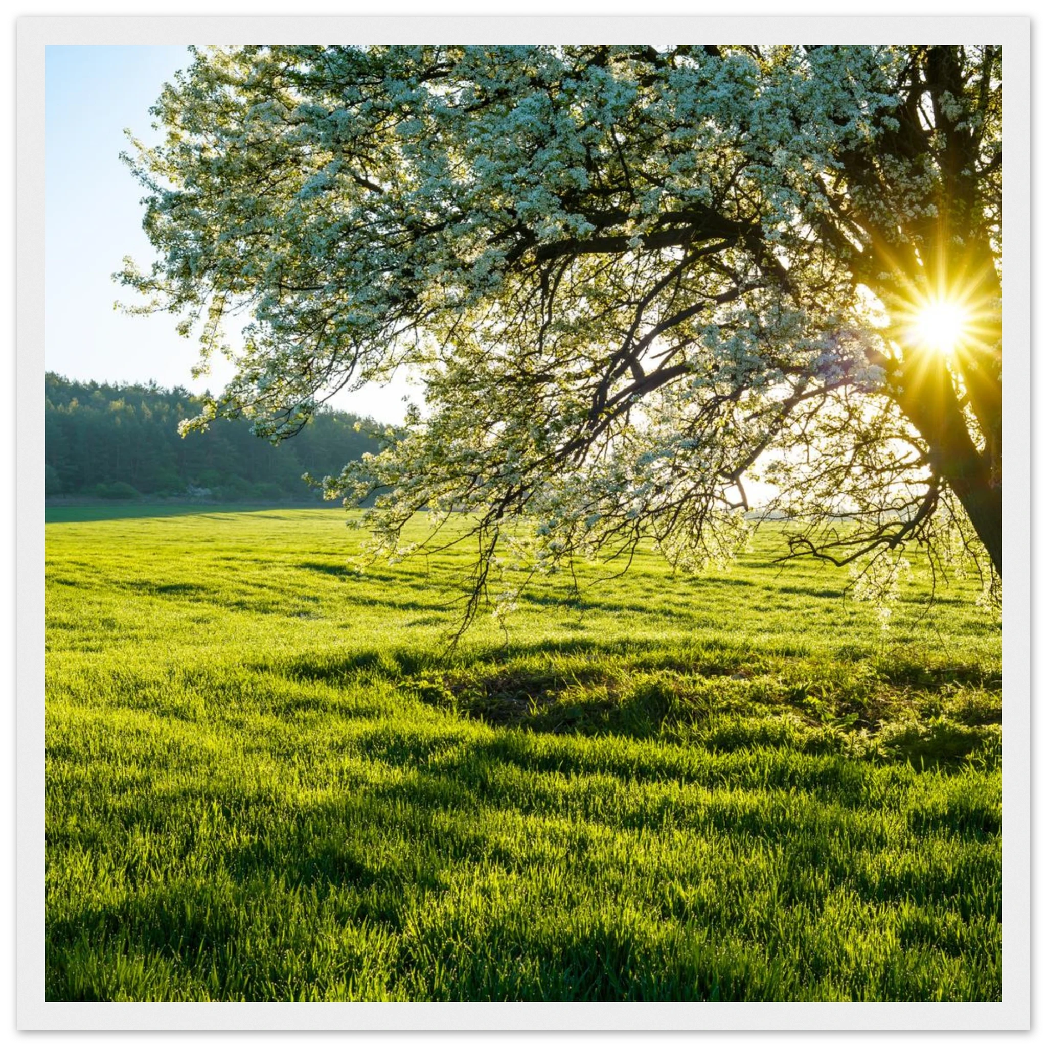 1926cc07-40f2-452c-bbaa-cd4917c825f0