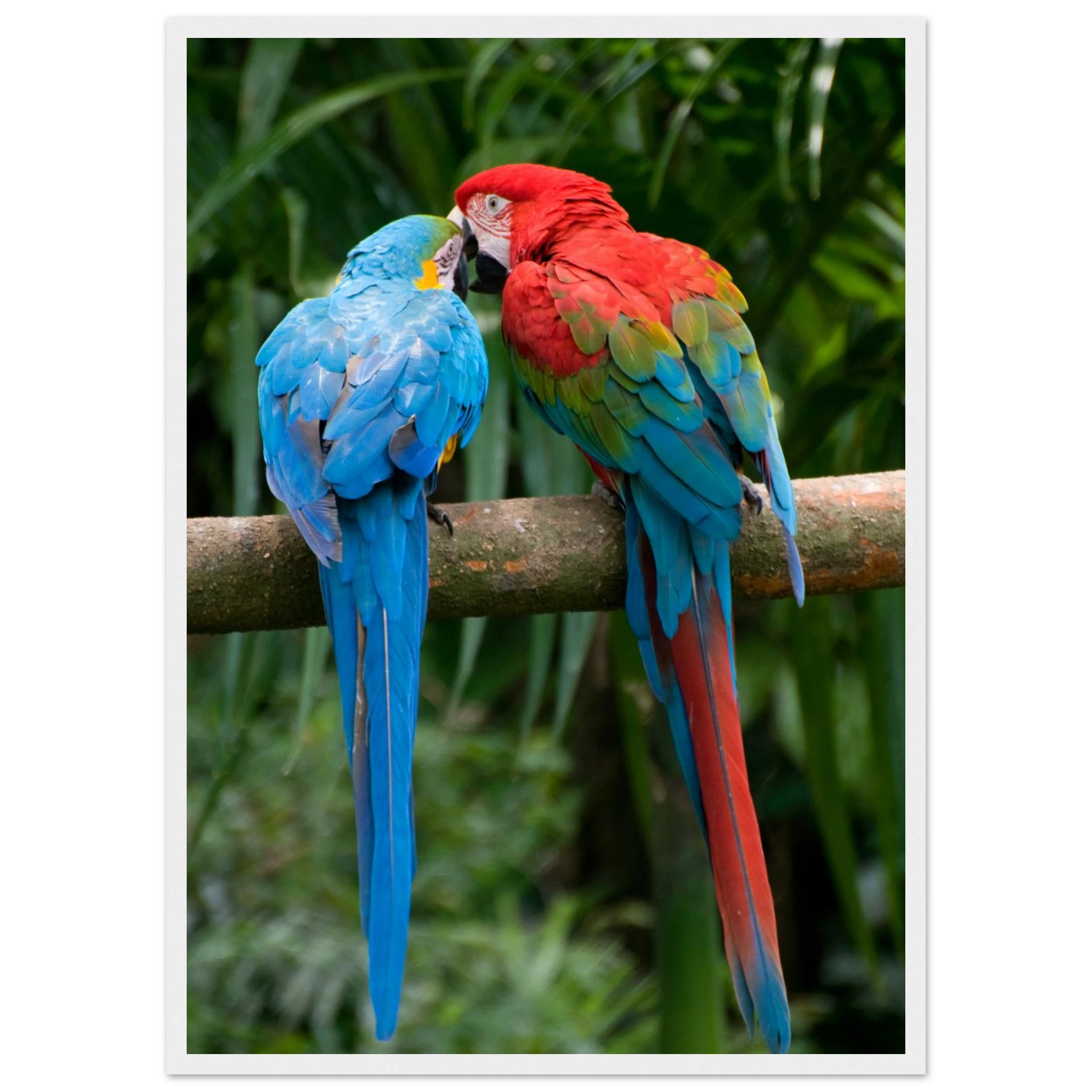 19368c5f-a1d5-4681-9da8-7187ae7e8d08