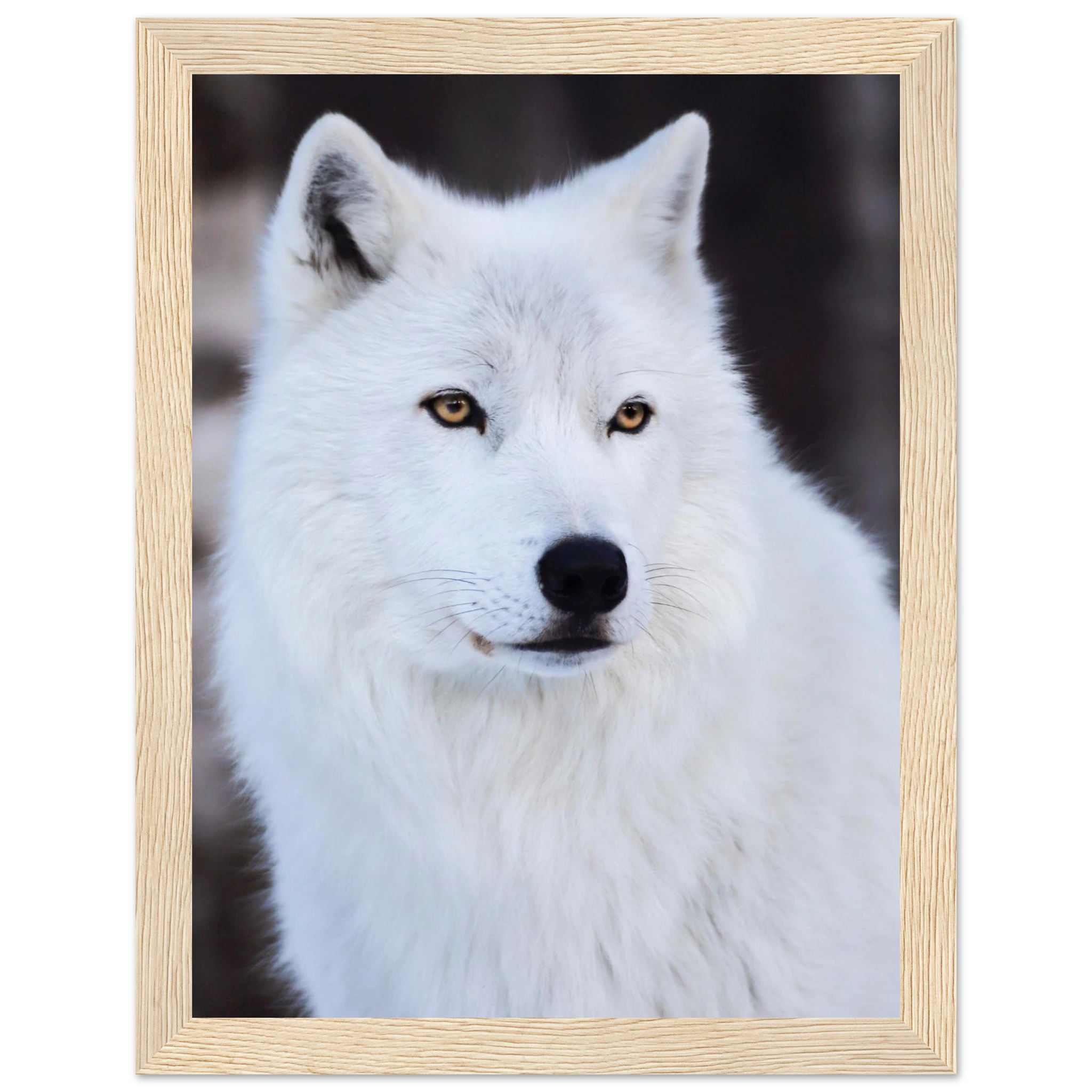 19402499-c645-4935-9341-b2f80549fd15