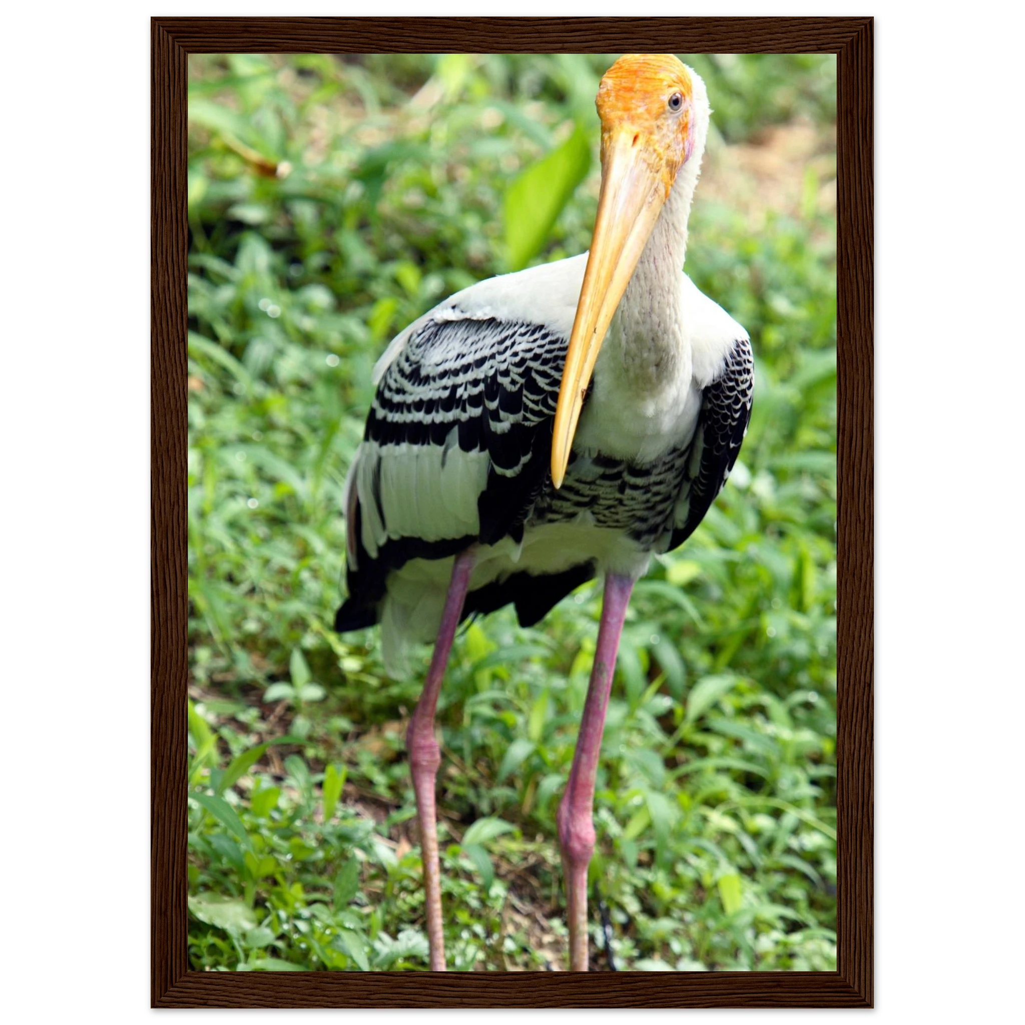 19514679-5ef1-4c98-aa60-06a25aa9ca64