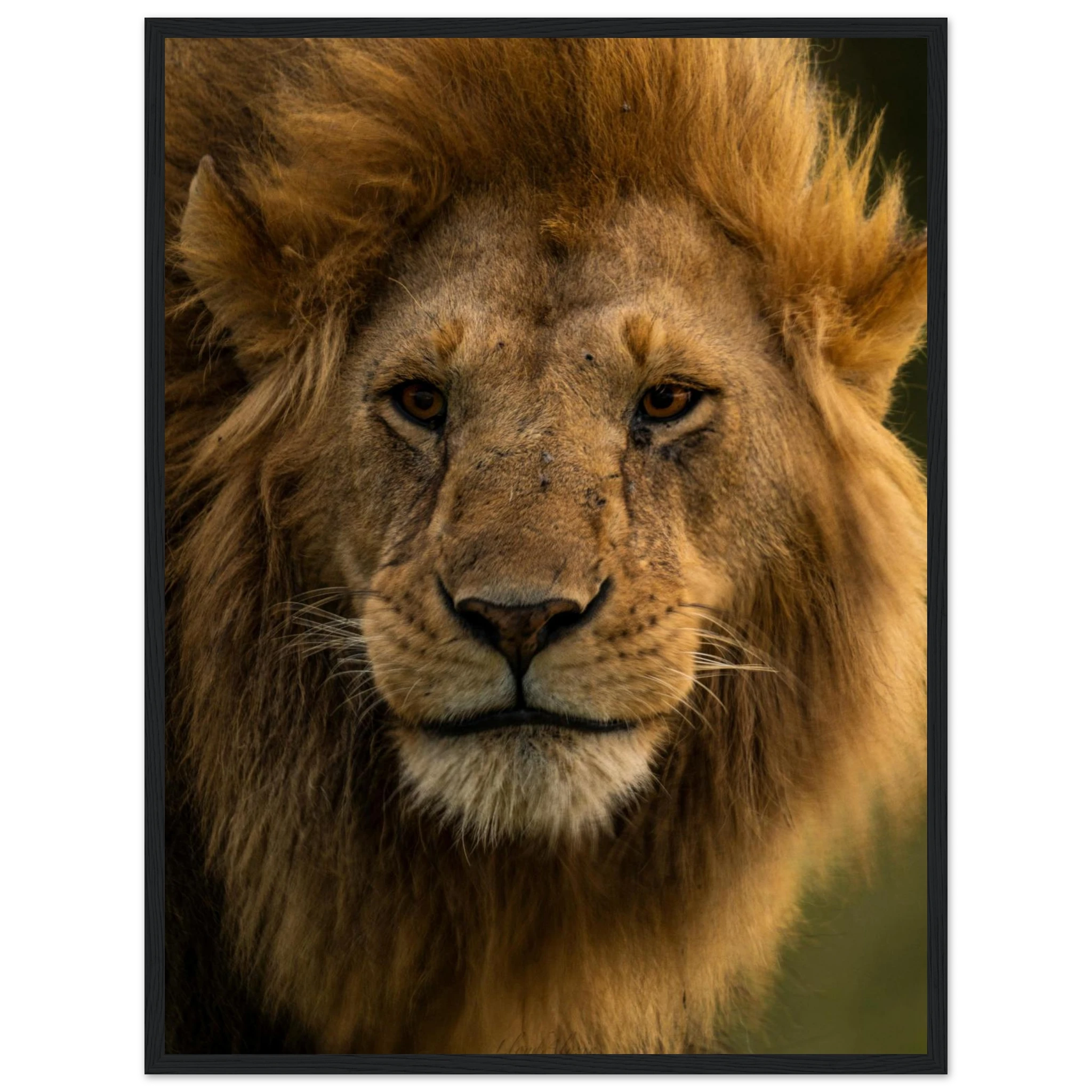 1956bdb8-5e48-4e20-8bb5-401ccc424138