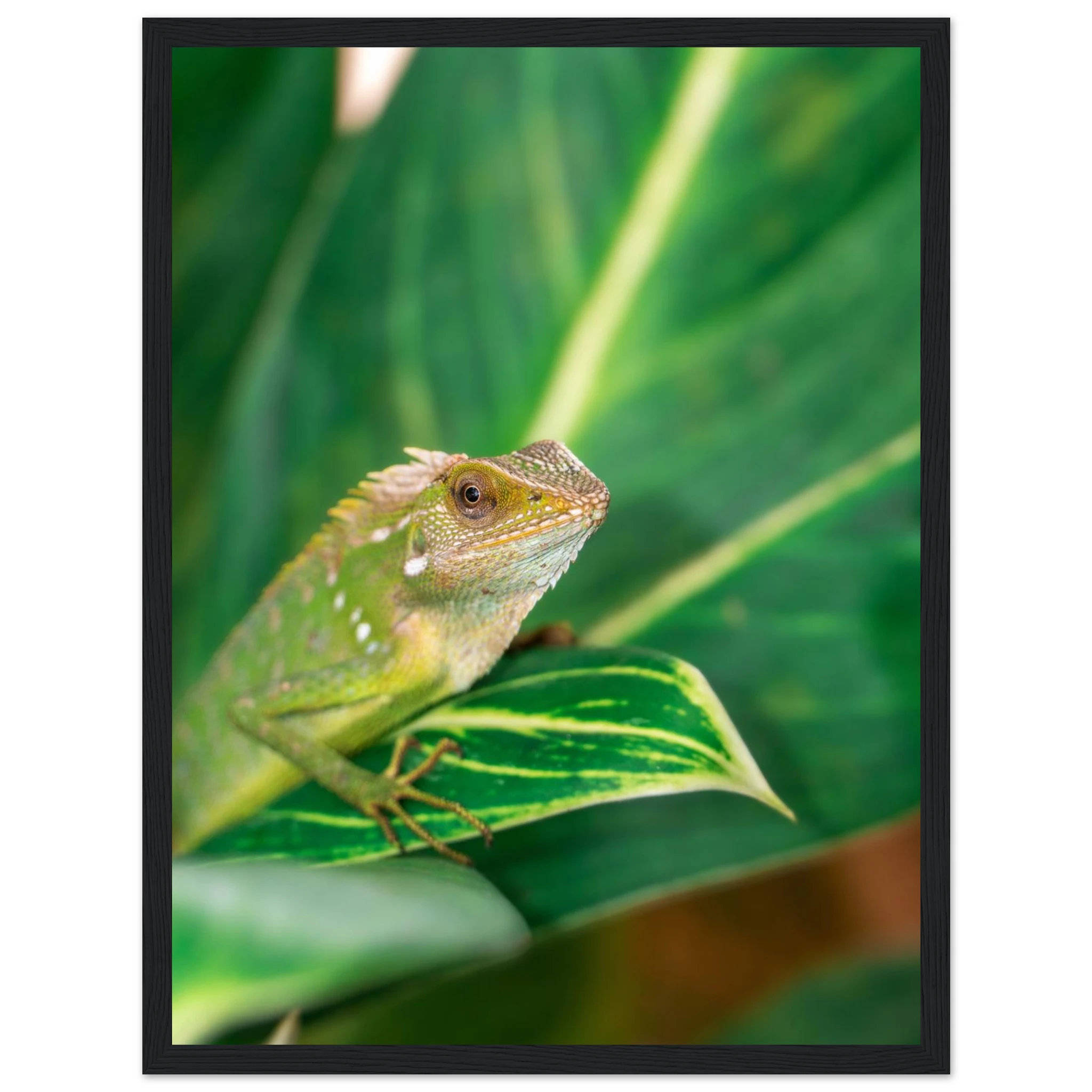 196b6656-848c-4adb-8471-dfe109ae6cc5