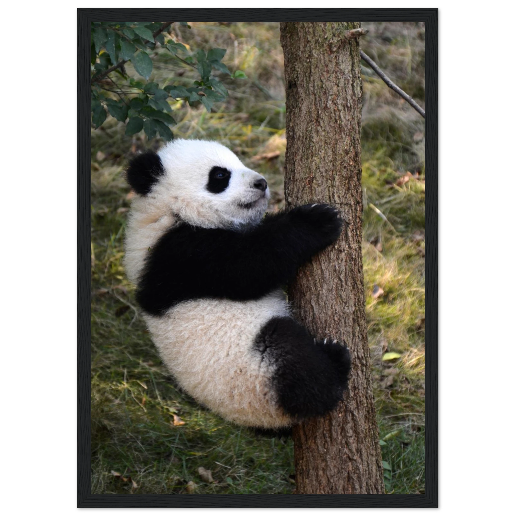 198bdcf1-99e9-4198-889a-2071bc24a196