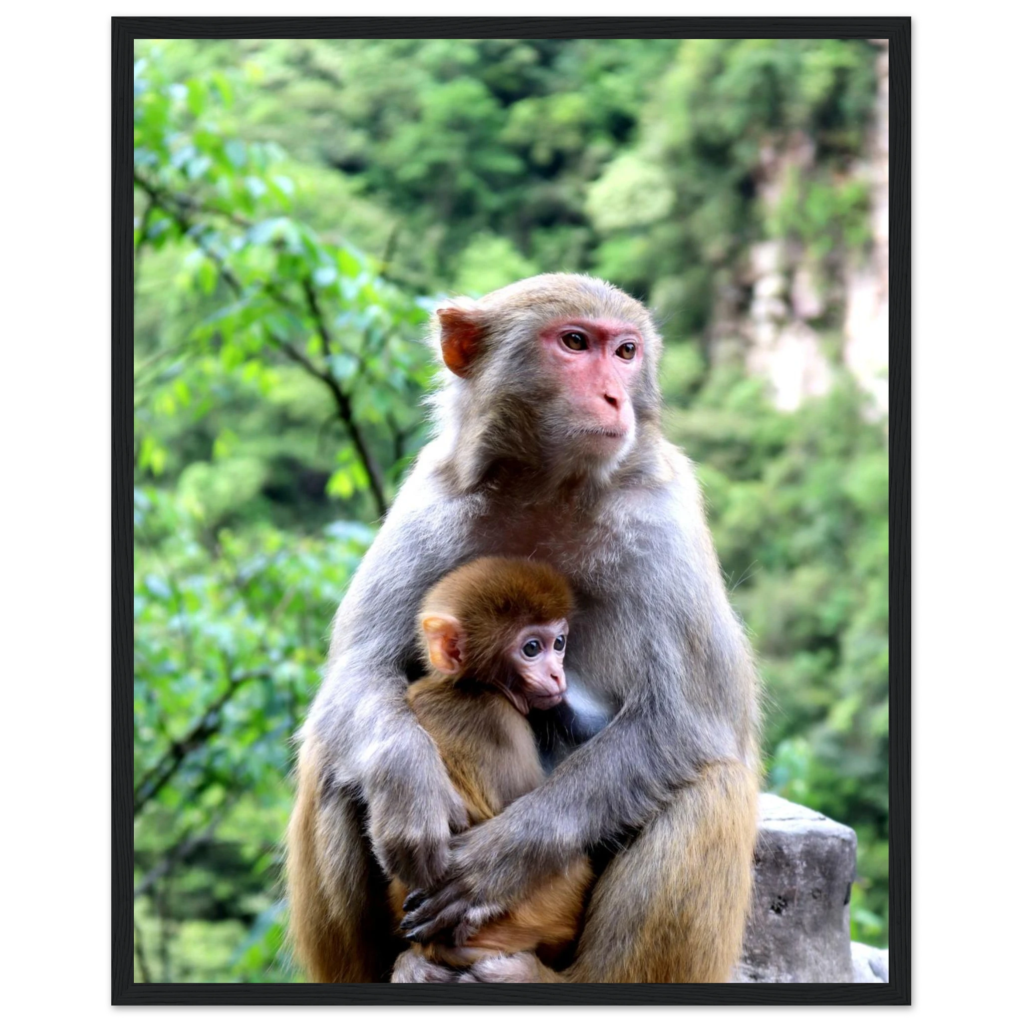 199fb7c2-3234-466c-aff5-46b05a62c4c3