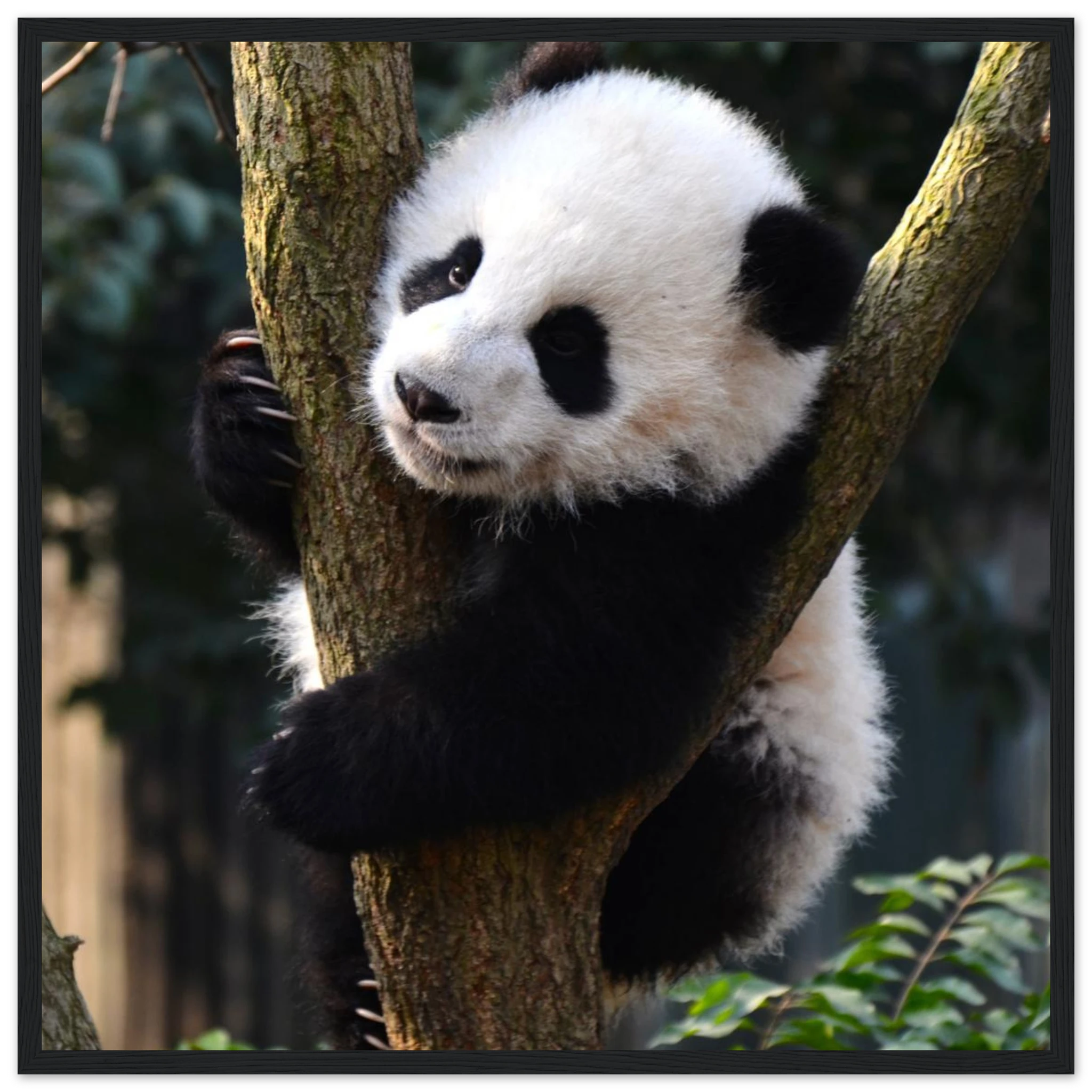 19ababc5-d837-4133-affe-e6396451730a