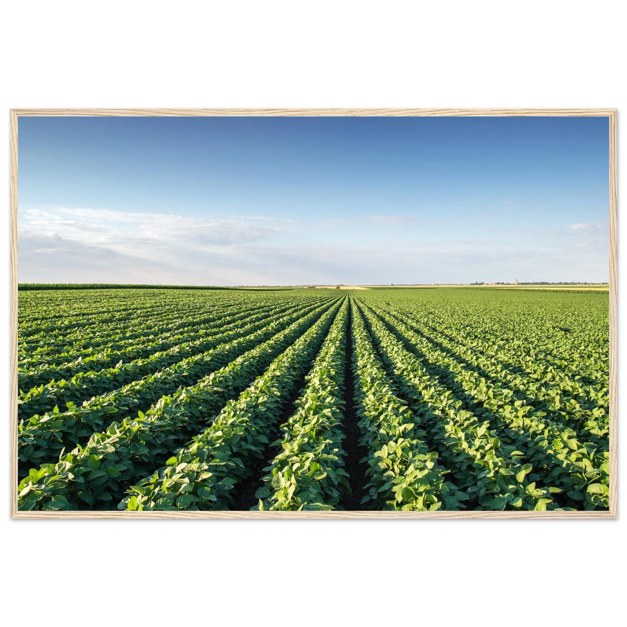 19b18da1-bfb3-4f8f-8843-aef1854b2b0c