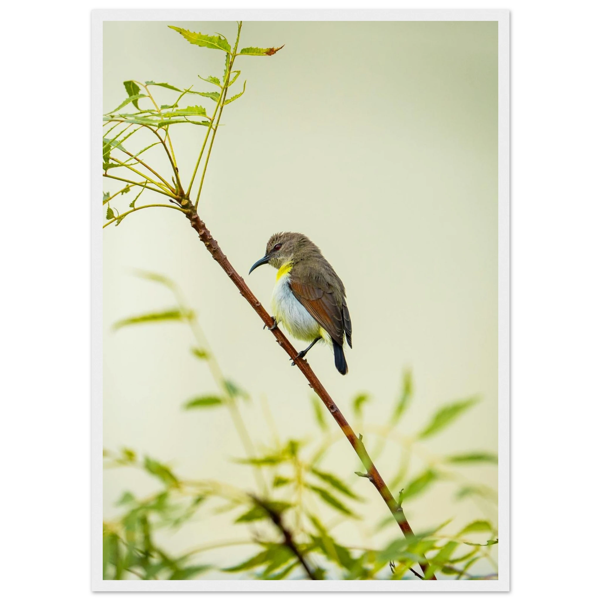 19c12777-ff3d-4c7d-a02e-3ac6920ae757